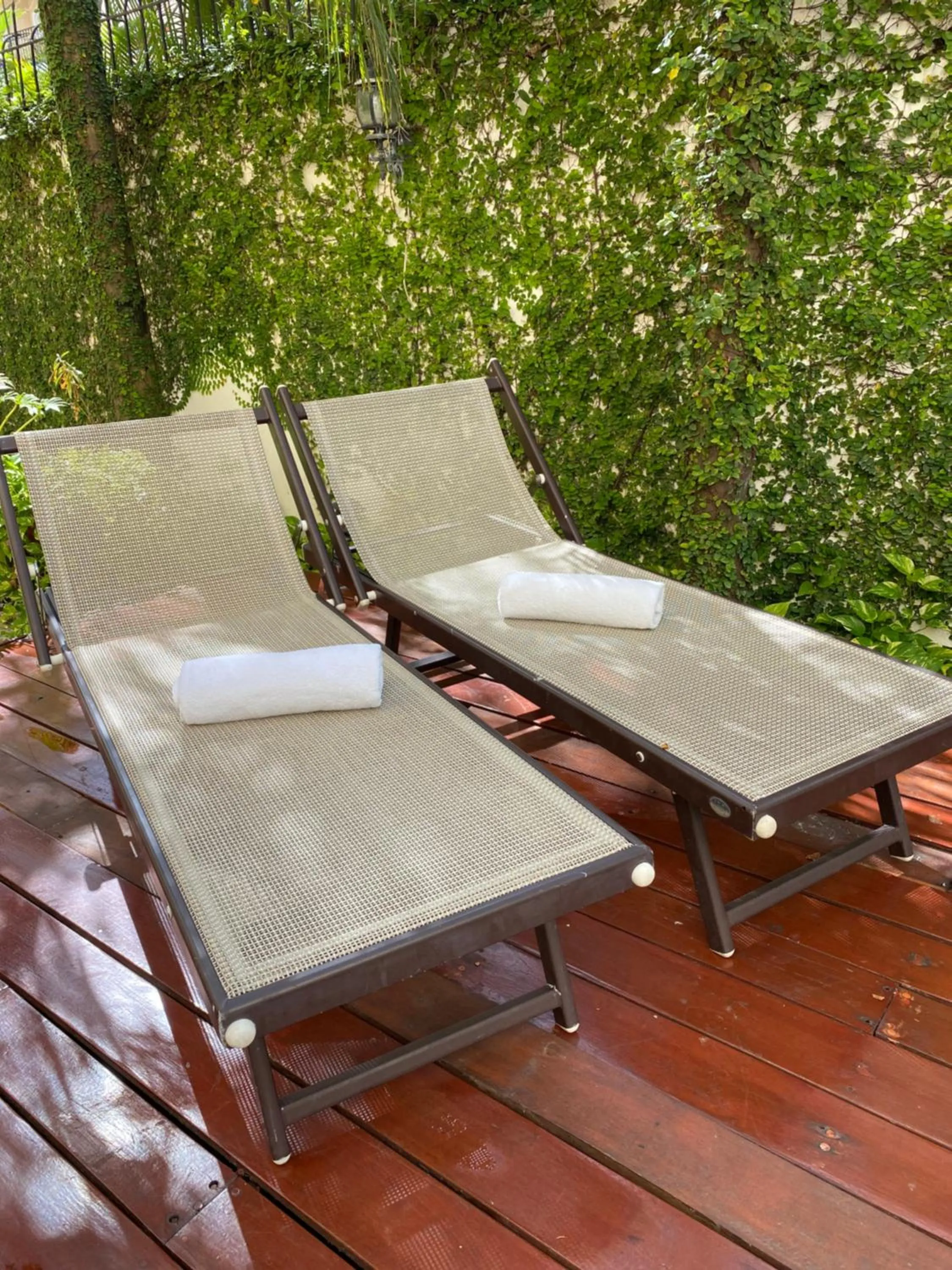 Garden view in Hotel Las Golondrinas