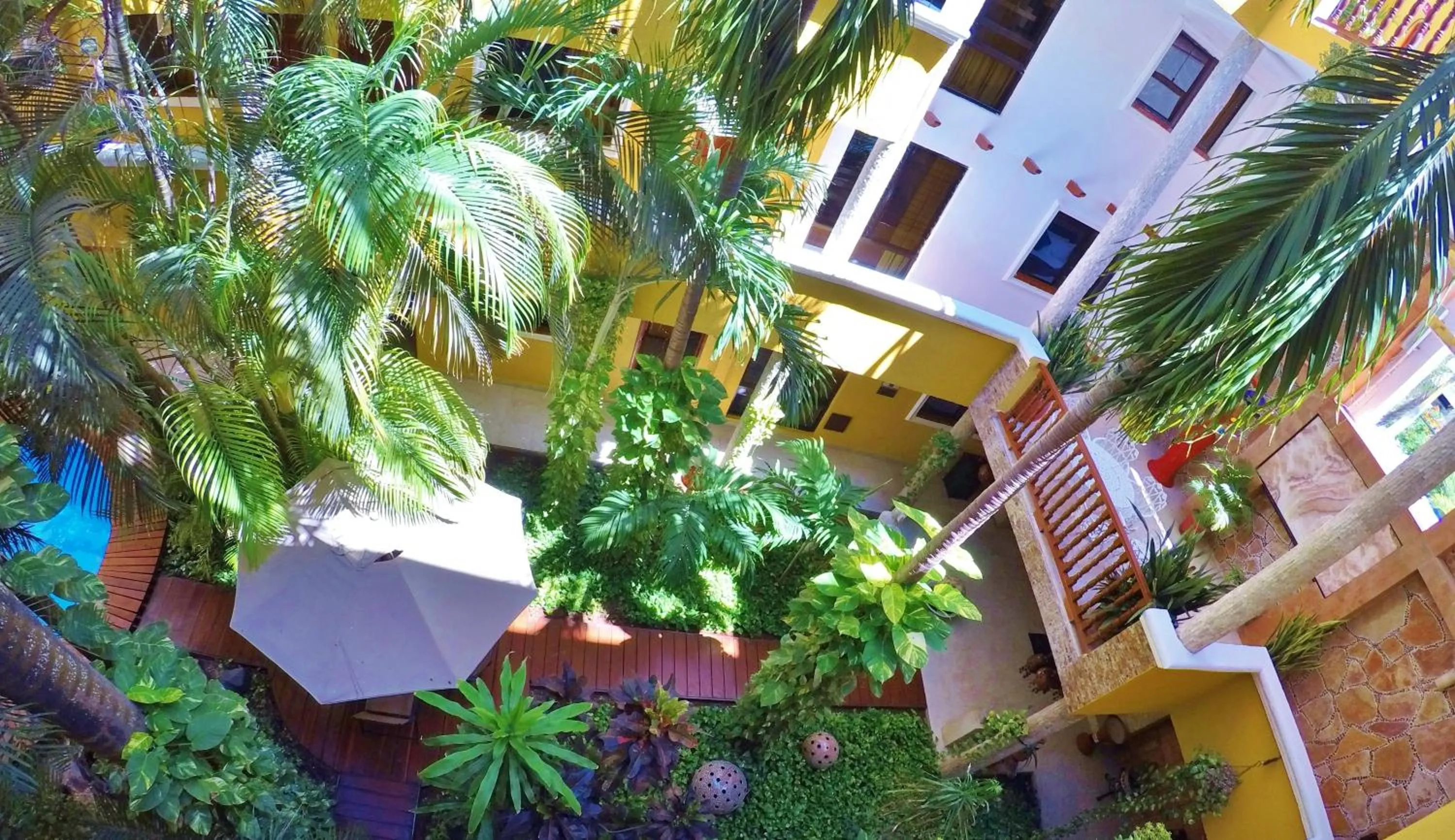 Garden in Hotel Las Golondrinas