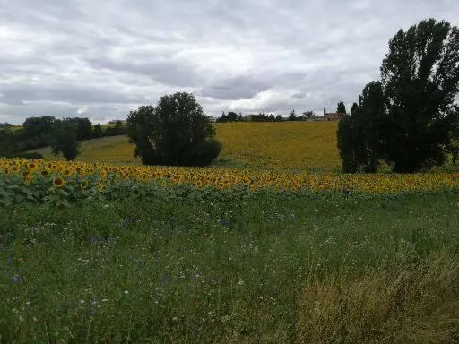 Natural landscape in Domaine de Cayre