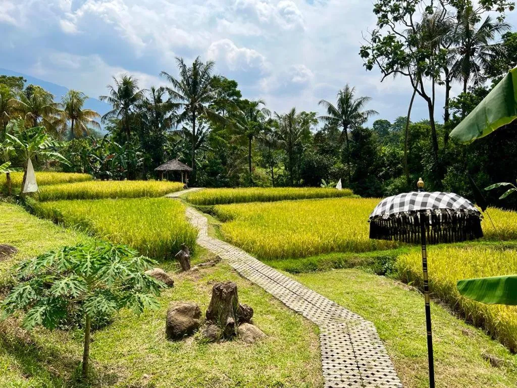 Garden in 5G Resort Cijeruk