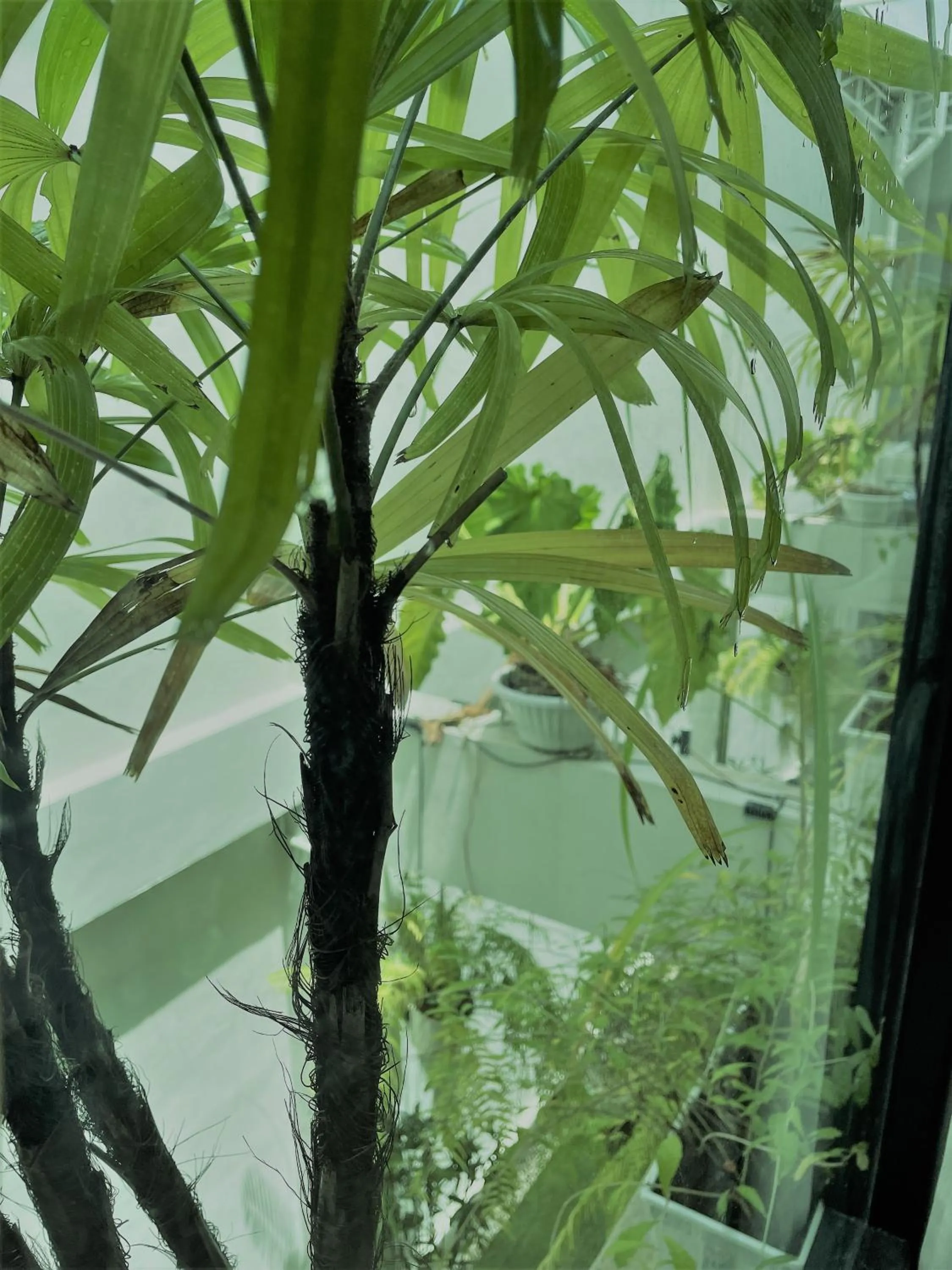 Natural landscape in THE BELONG BOUTIQUE HOTEL