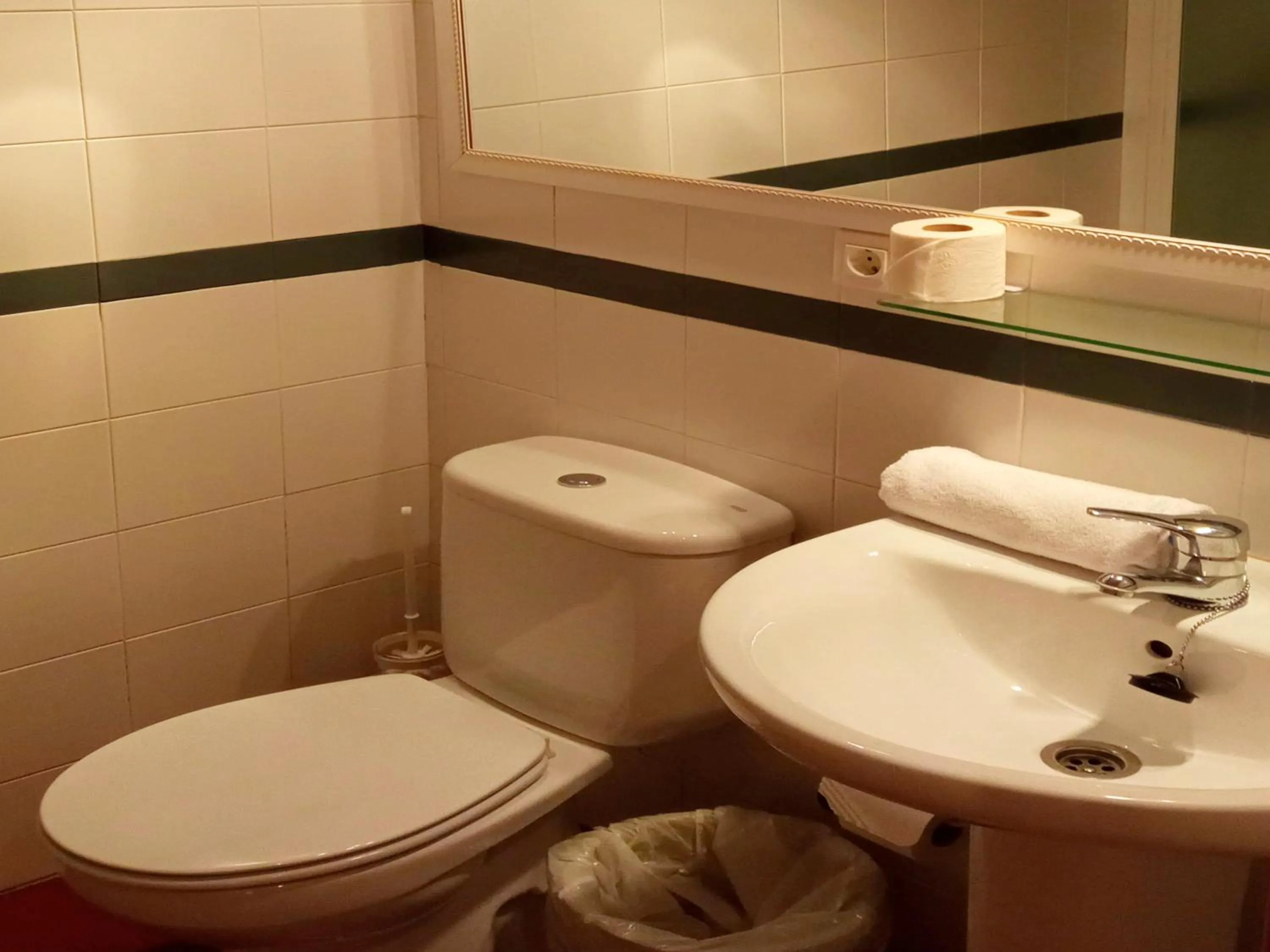 Bathroom in Apartamentos Sierra Nevada 3000