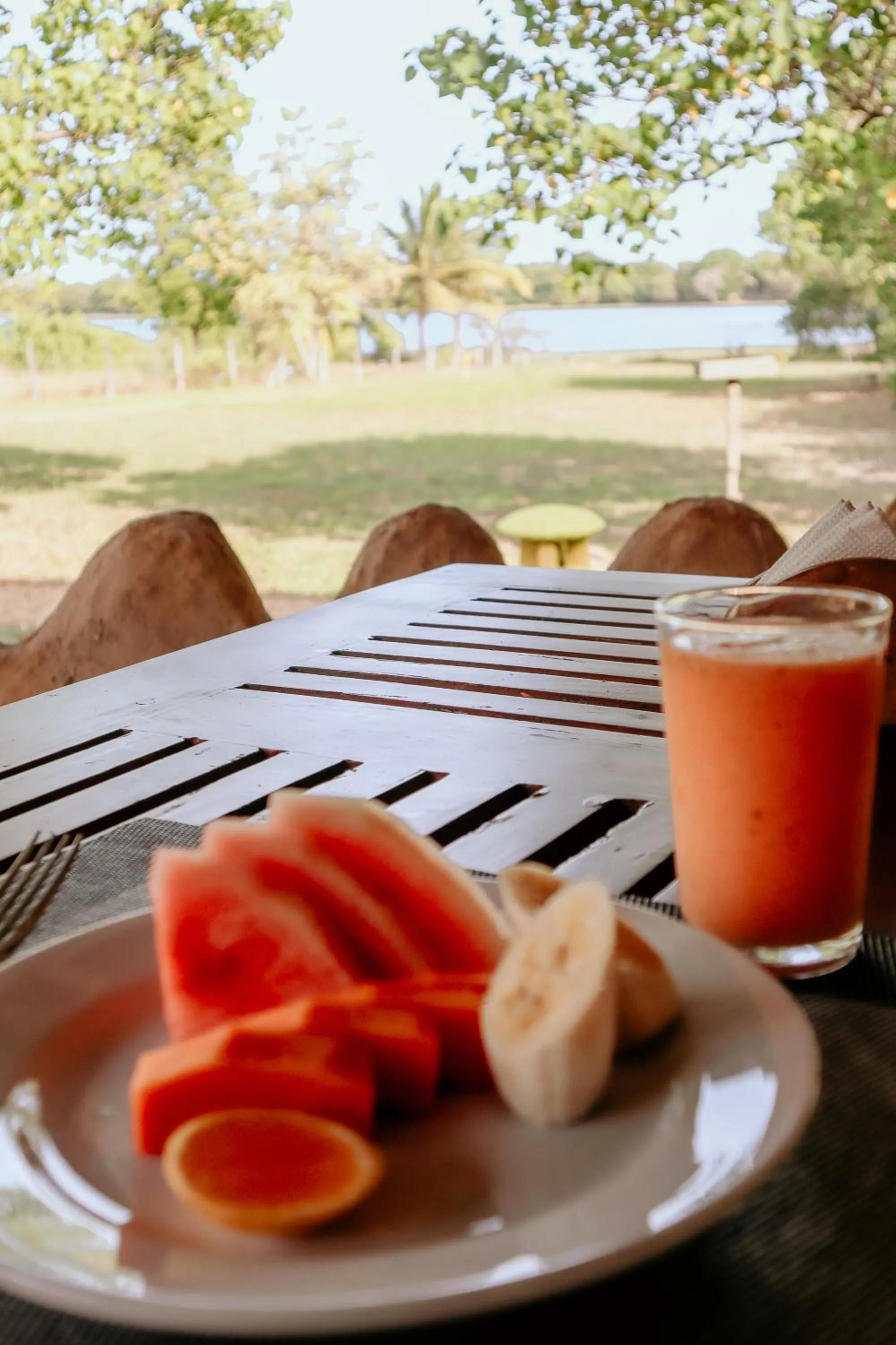 Breakfast in Saffron Lake Yala