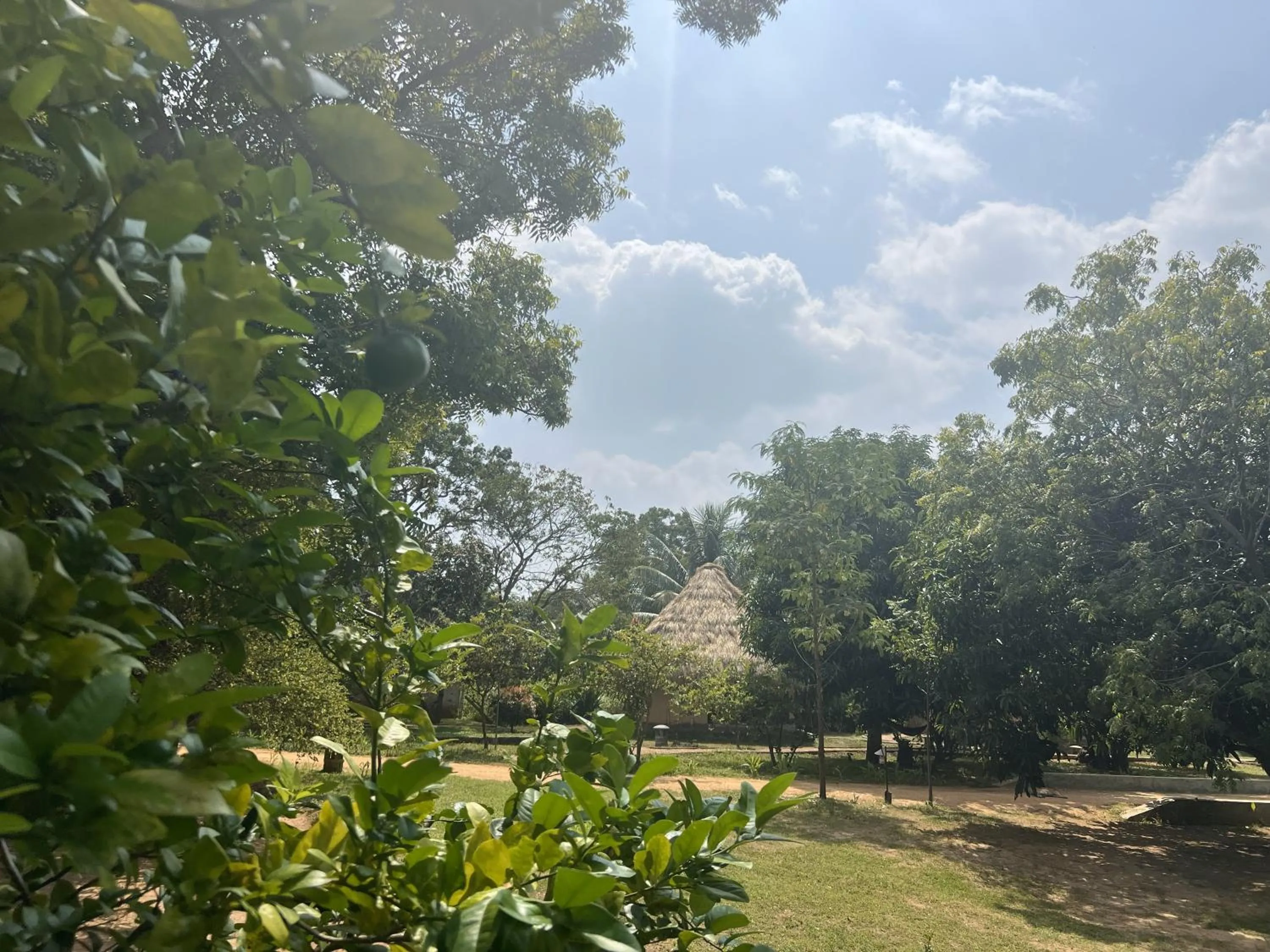 Property building in Saffron Lake Yala