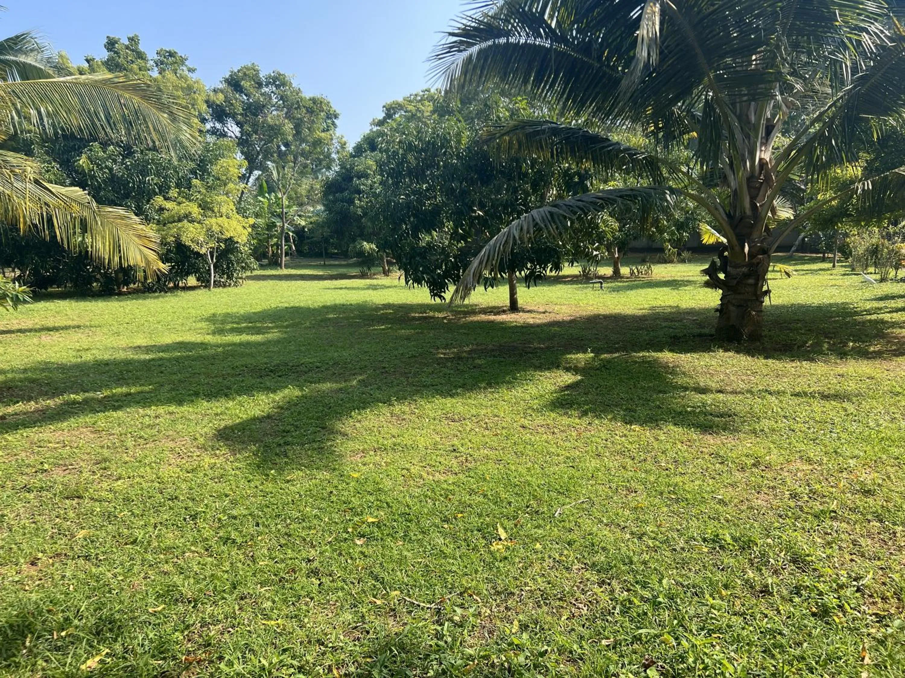 Garden in Saffron Lake Yala