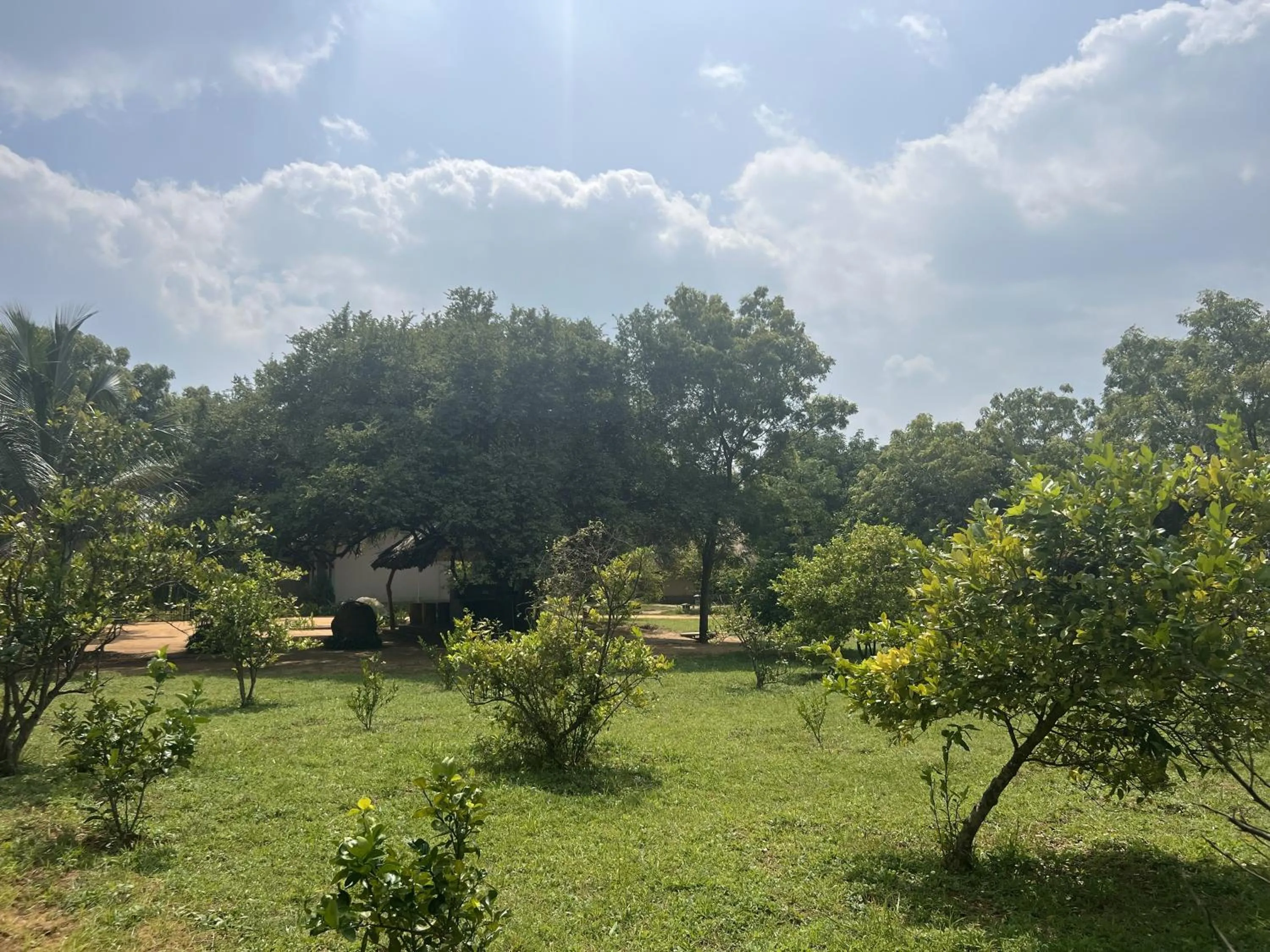 Garden in Saffron Lake Yala