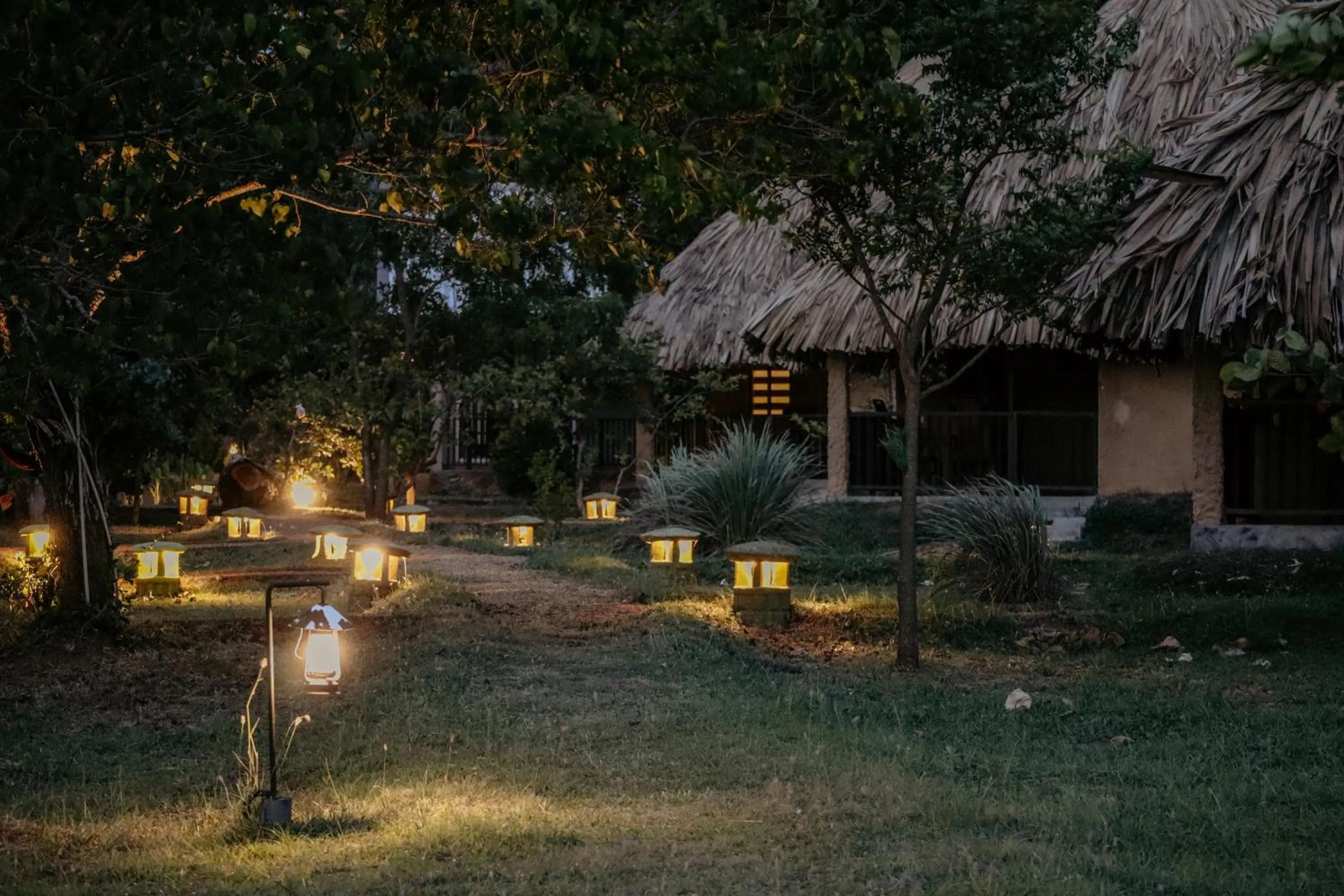 Garden in Saffron Lake Yala