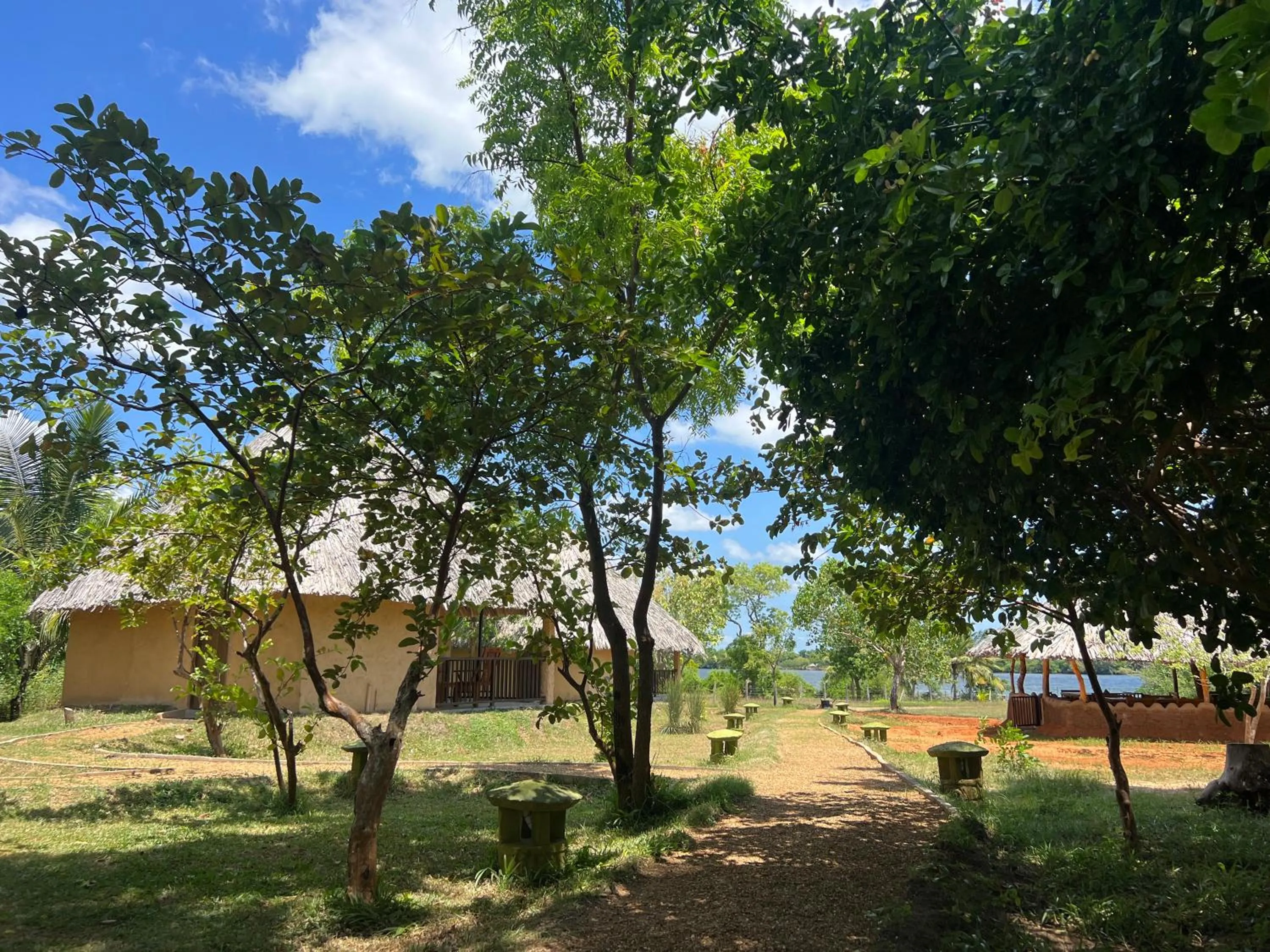 Restaurant/places to eat in Saffron Lake Yala