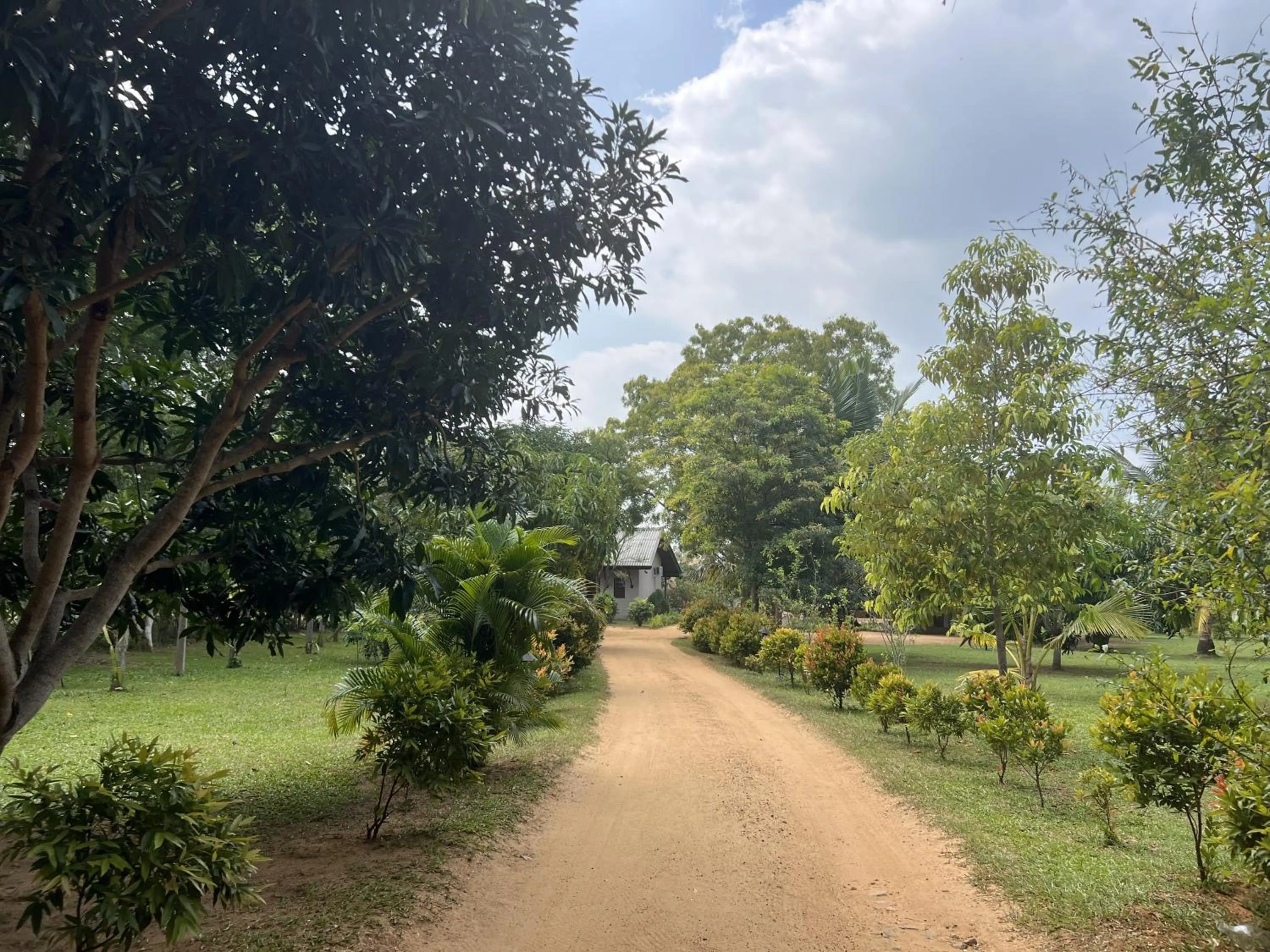 Facade/entrance in Saffron Lake Yala