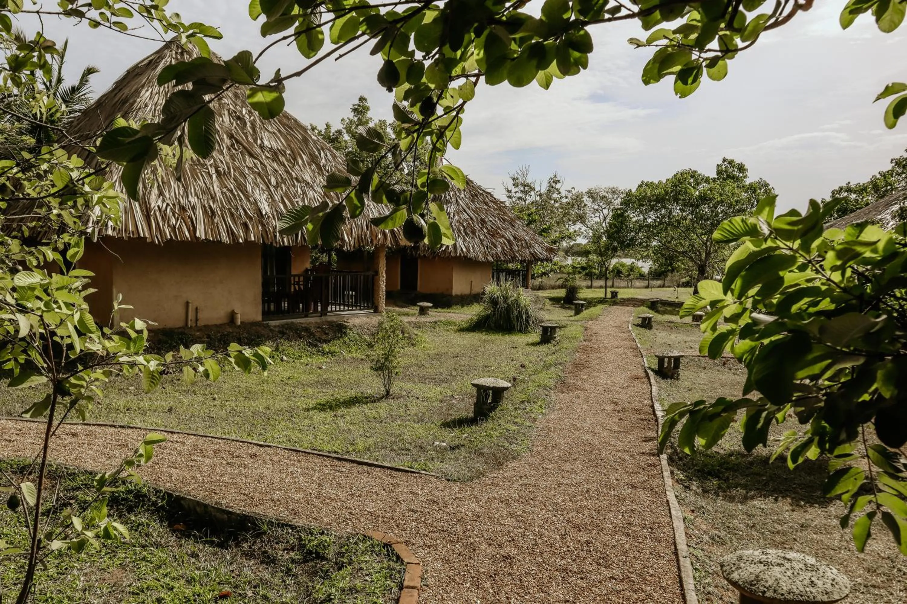 Garden in Saffron Lake Yala