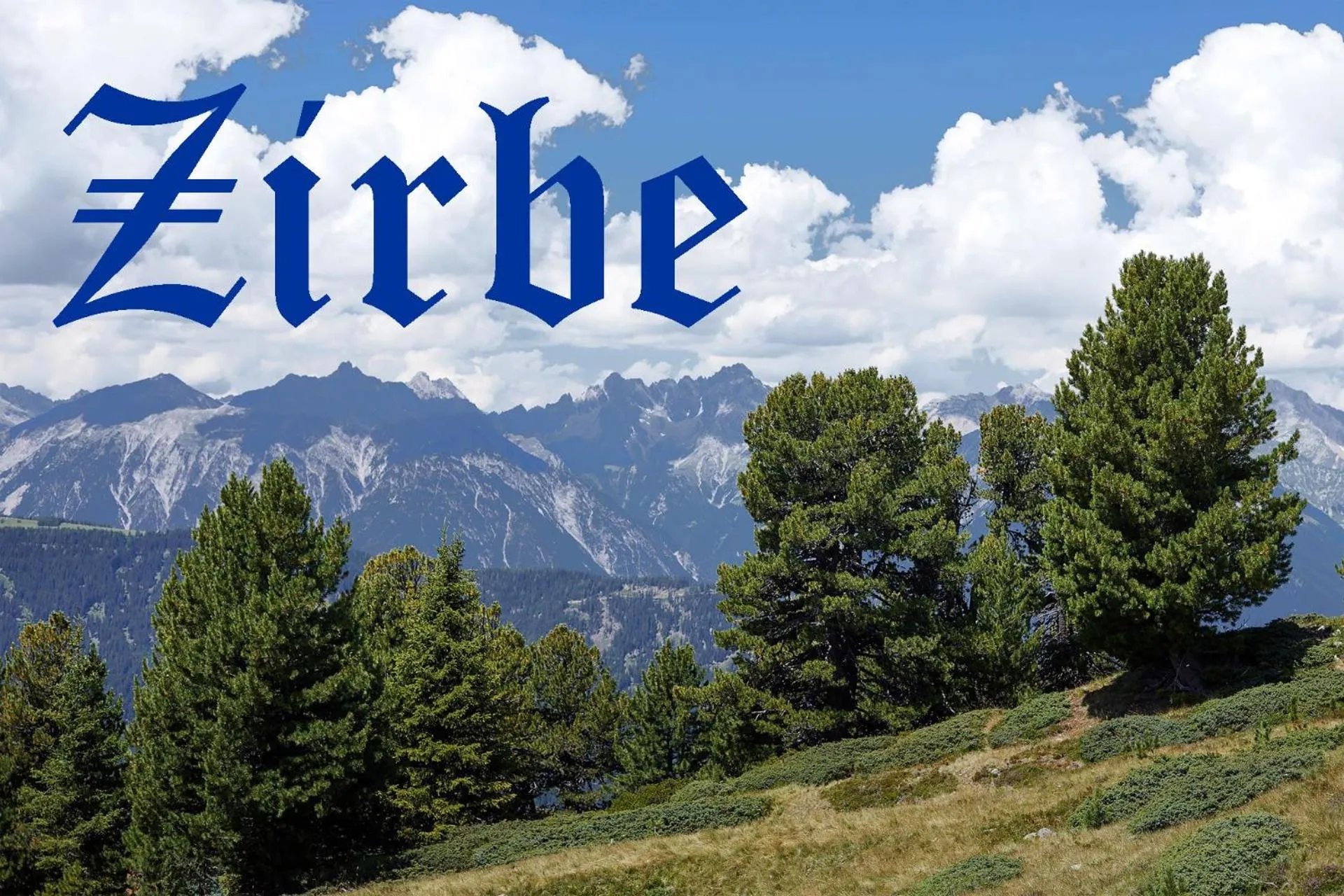 Logo/Certificate/Sign in Gungl Stubn