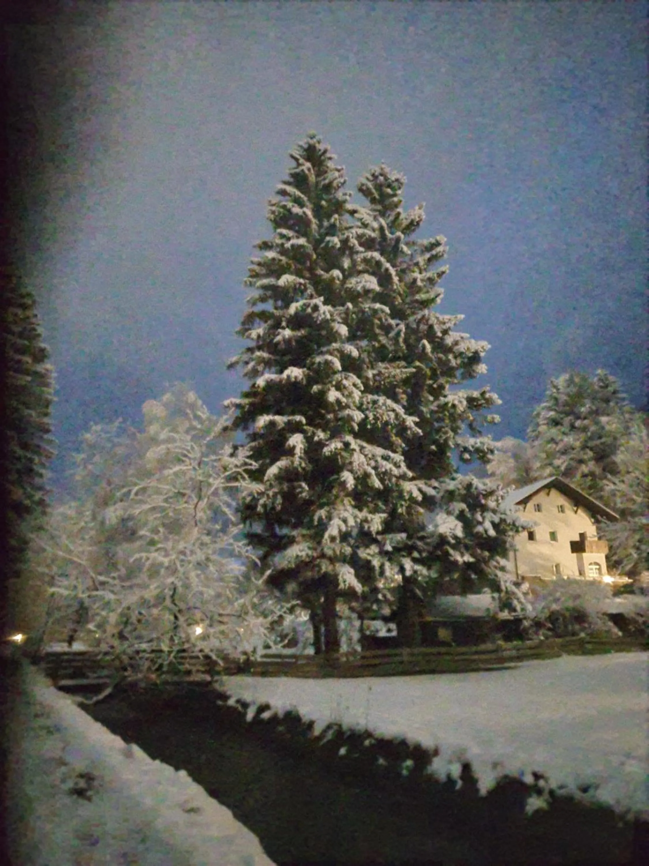 Natural landscape in Gungl Stubn