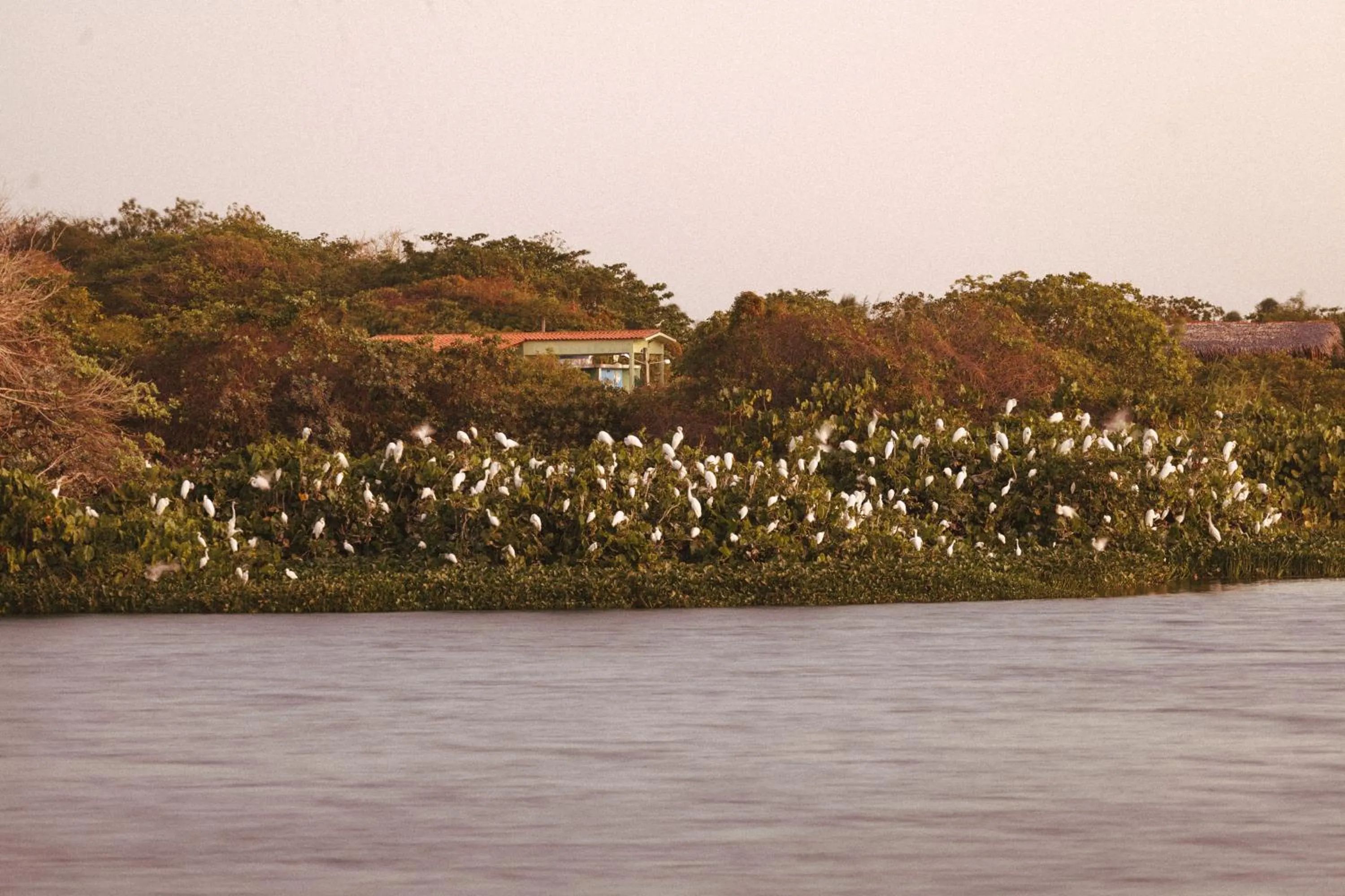 Natural landscape in Casa na Lagoa