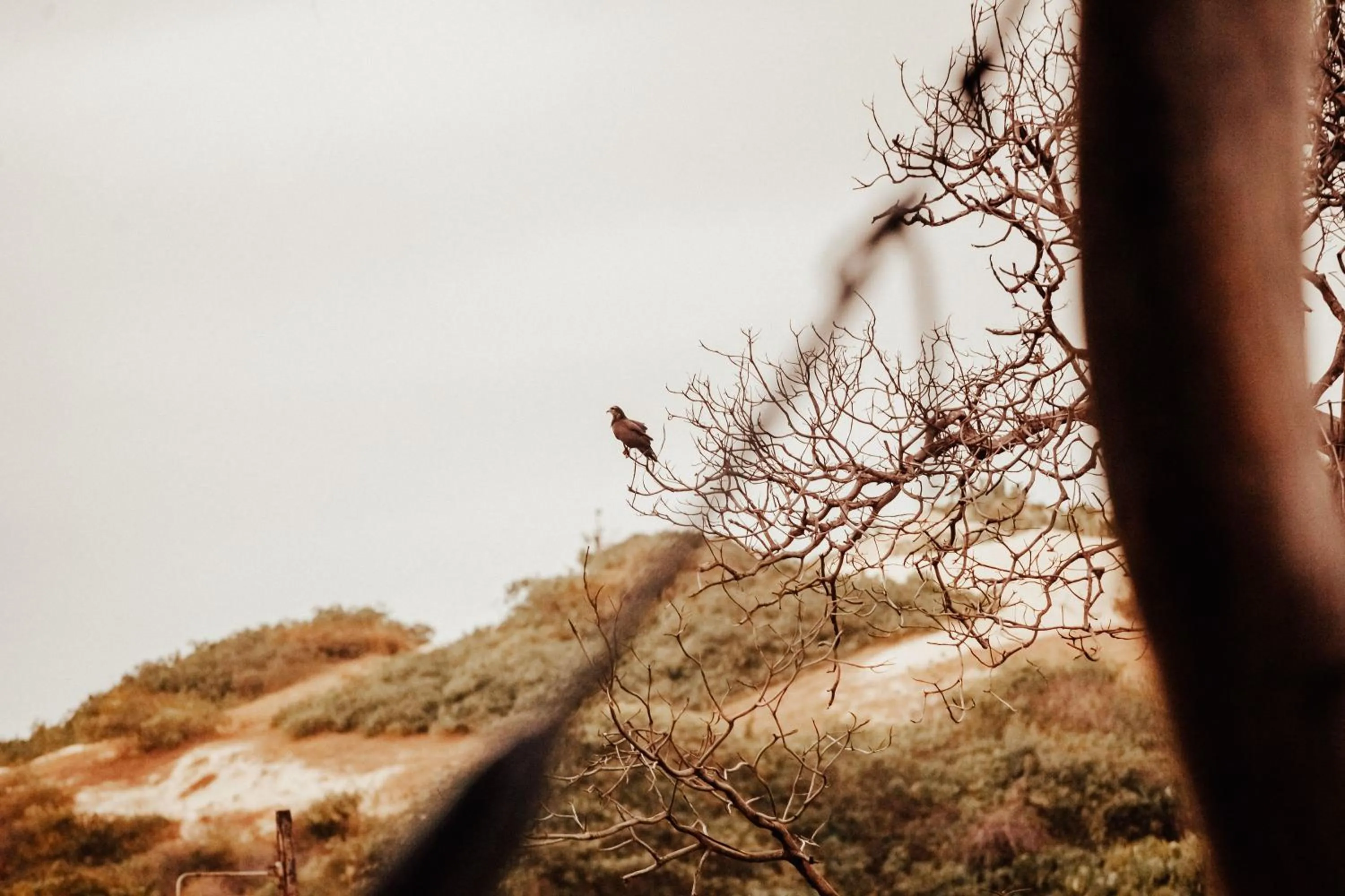 Natural landscape in Casa na Lagoa