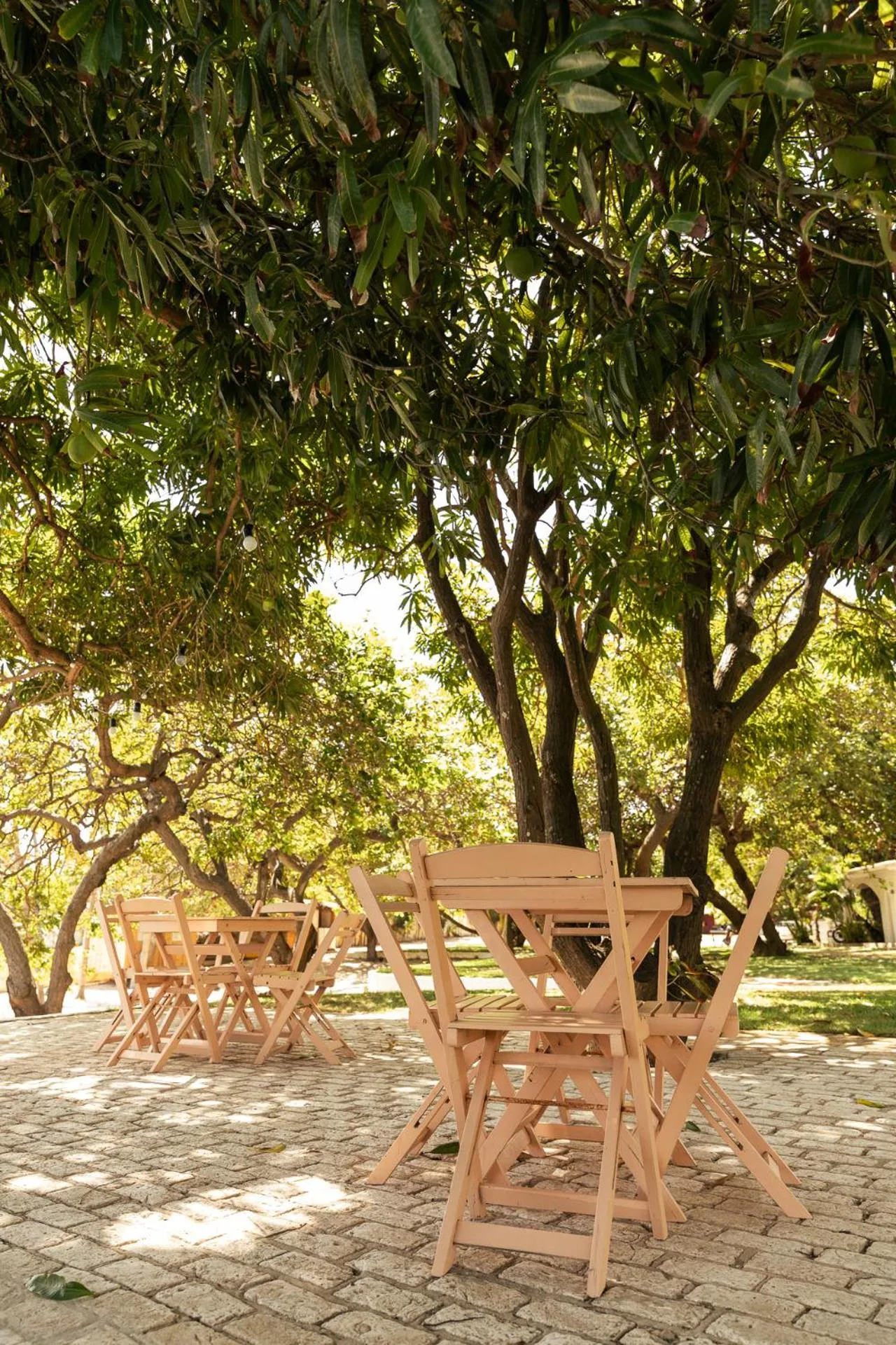 Garden in Casa na Lagoa