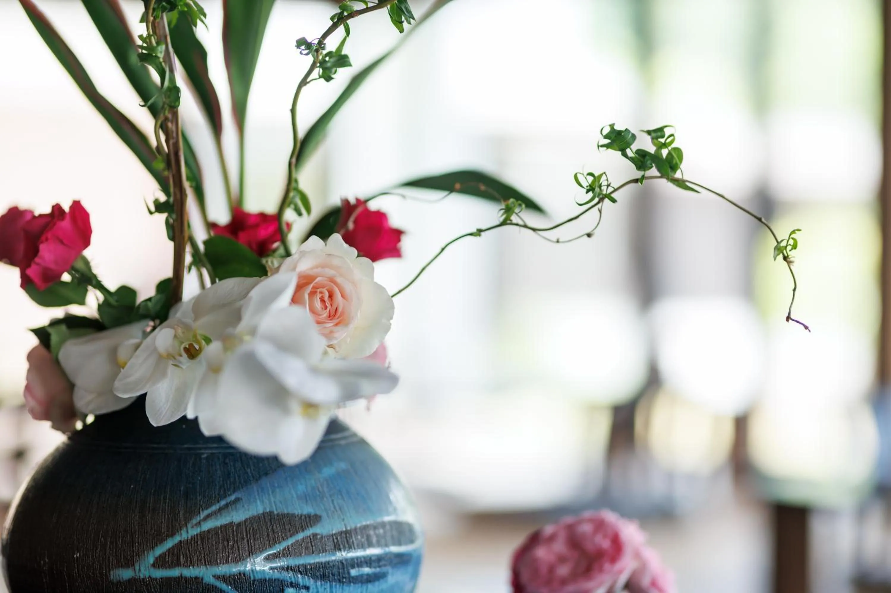 Area and facilities in Hotel Kikori