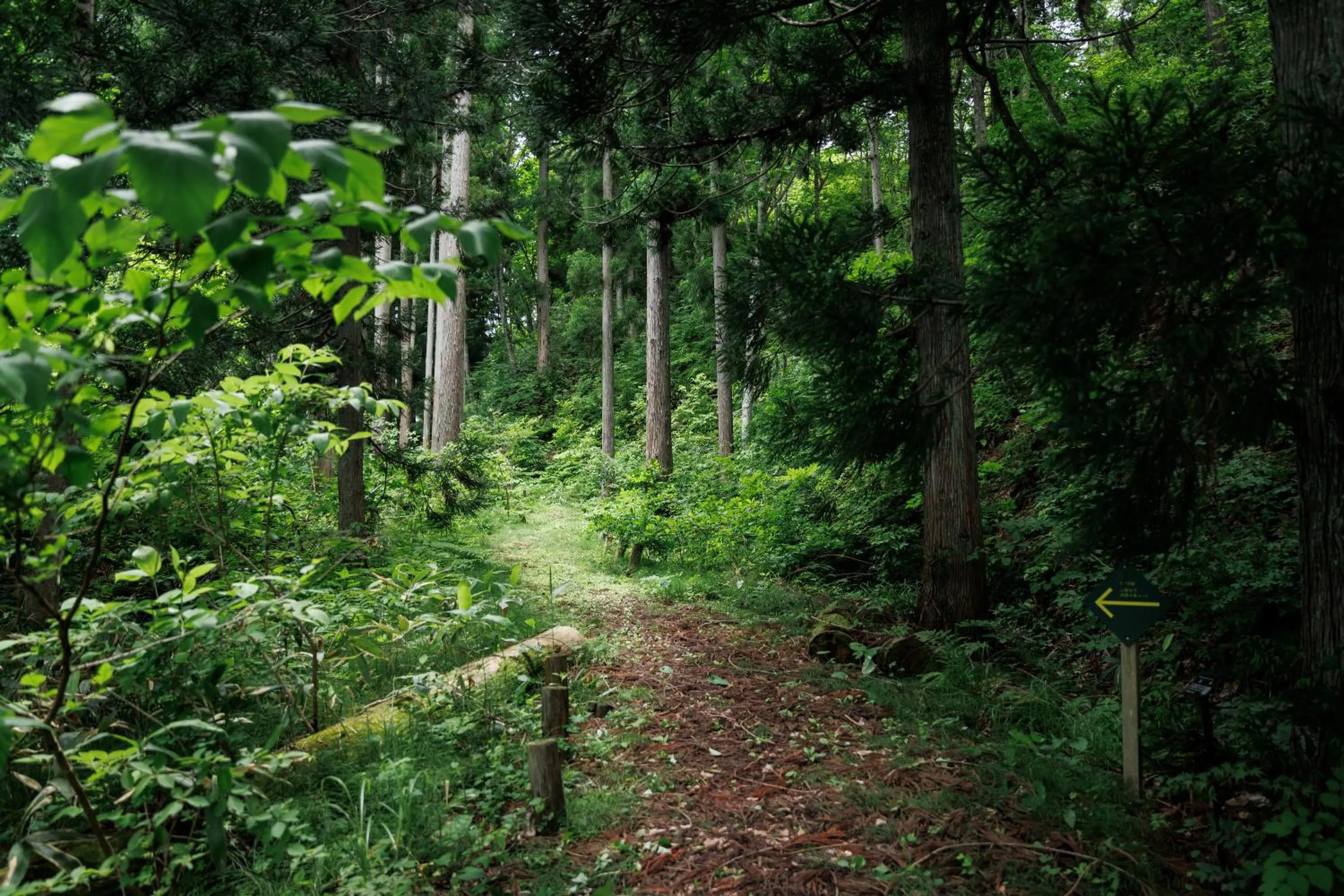 Area and facilities in Hotel Kikori