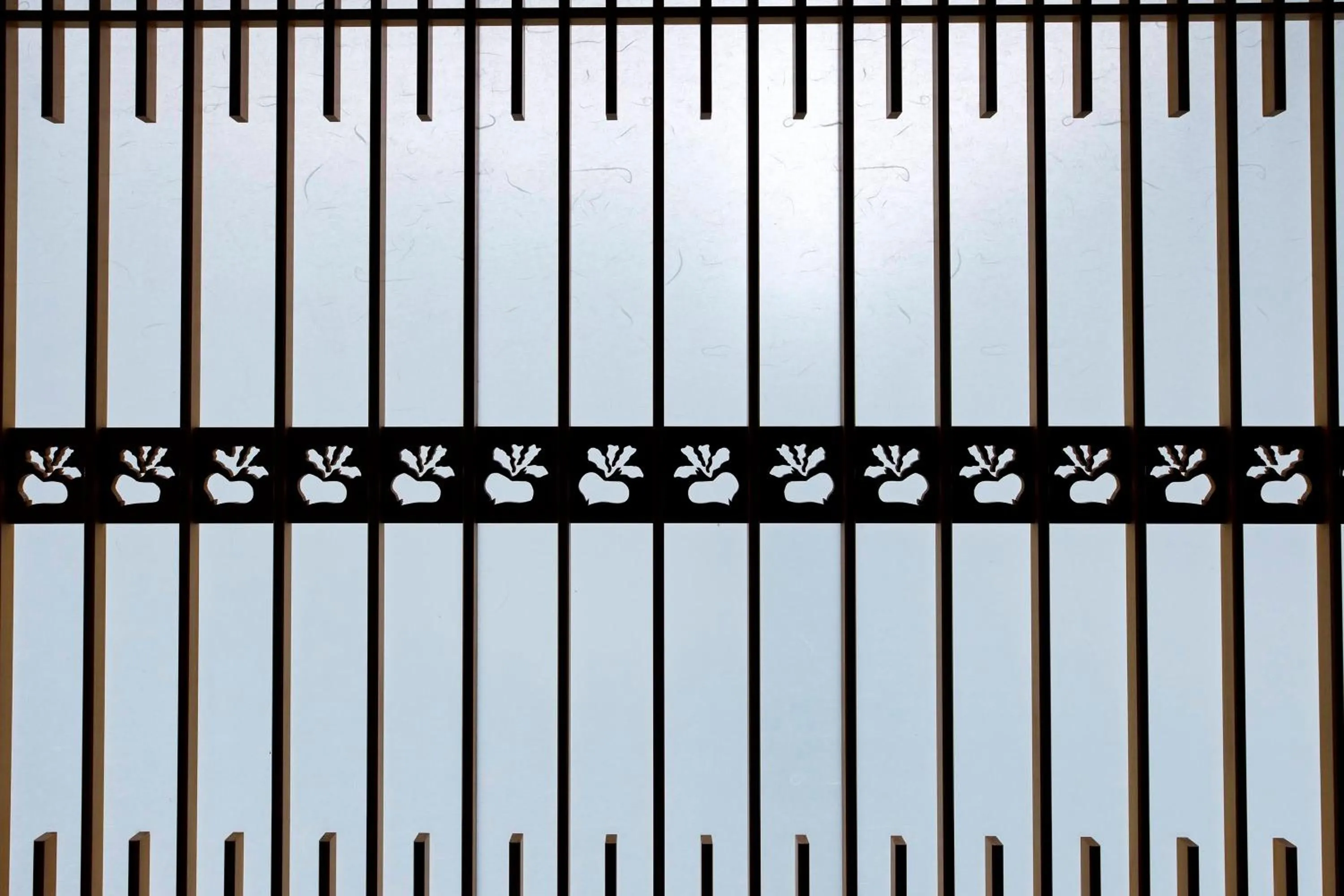 Photo of the whole room in Busuitei