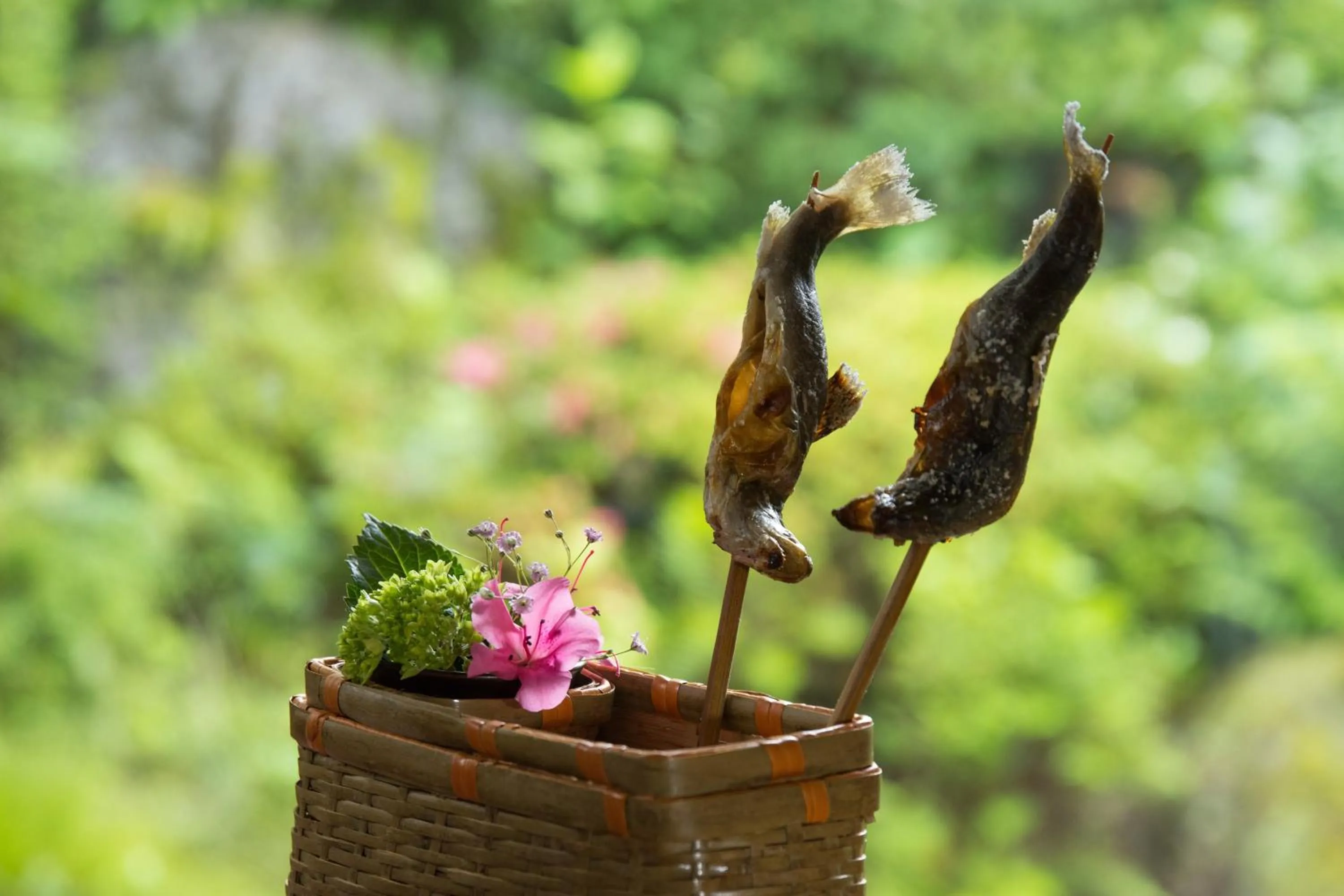 Restaurant/places to eat in Yatsusankan Over 6 years old