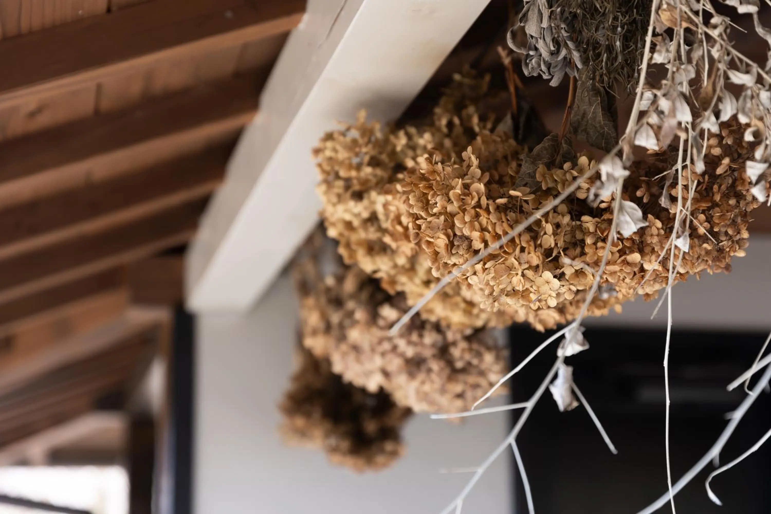 Area and facilities in Kawaguchiko Country Cottage Ban