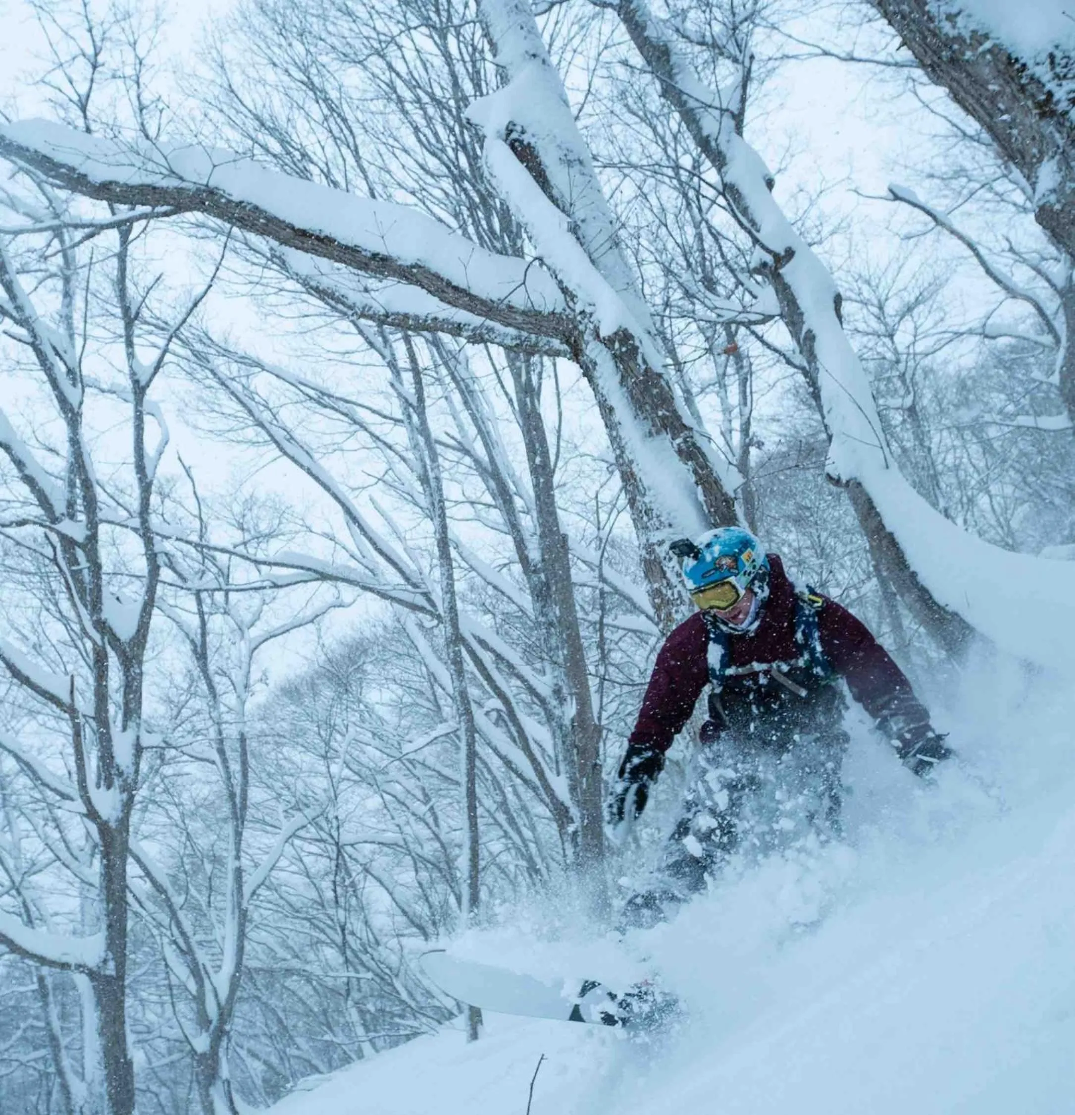 Skiing in Hotel Taiko