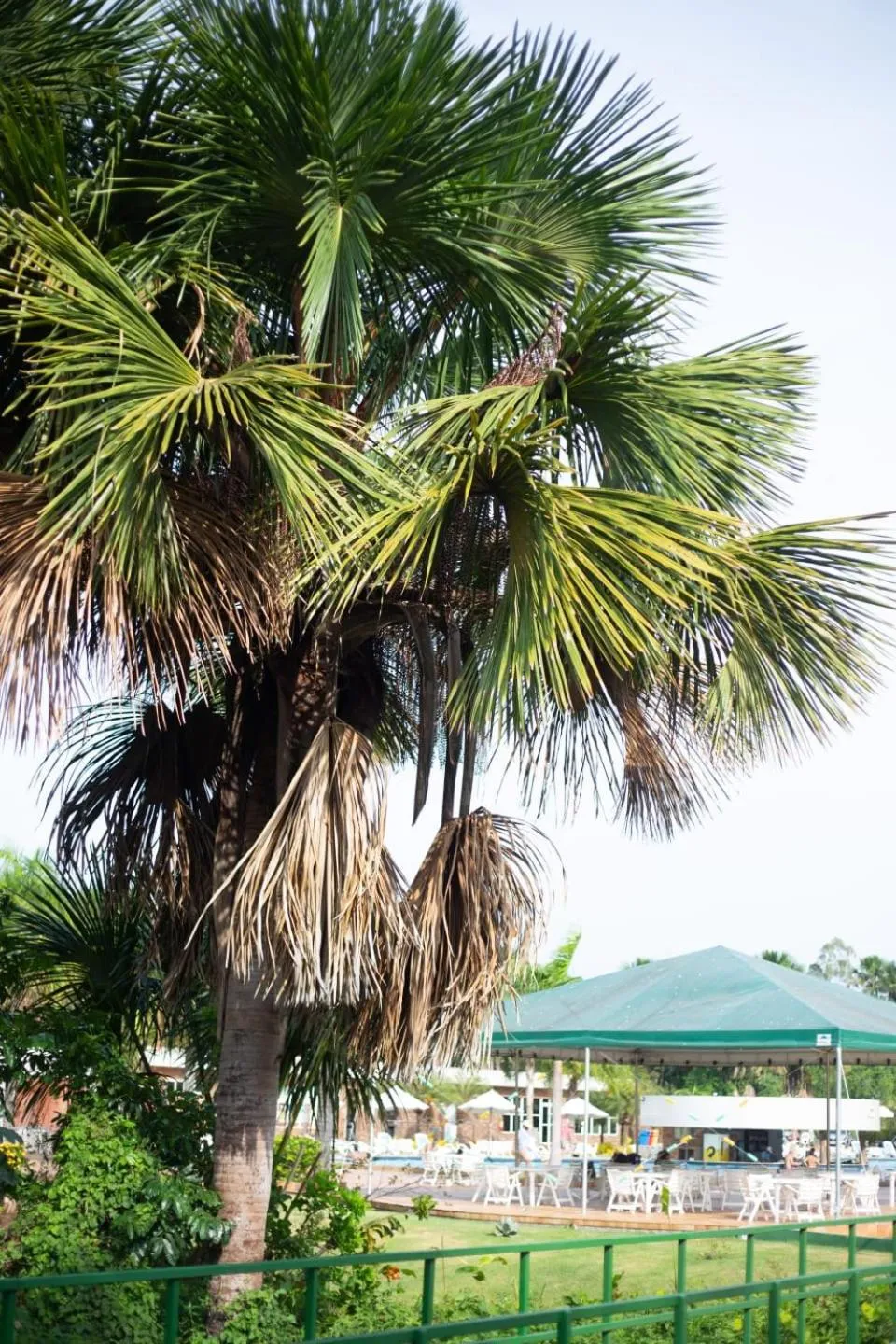 Garden in Grand Lençóis Flat
