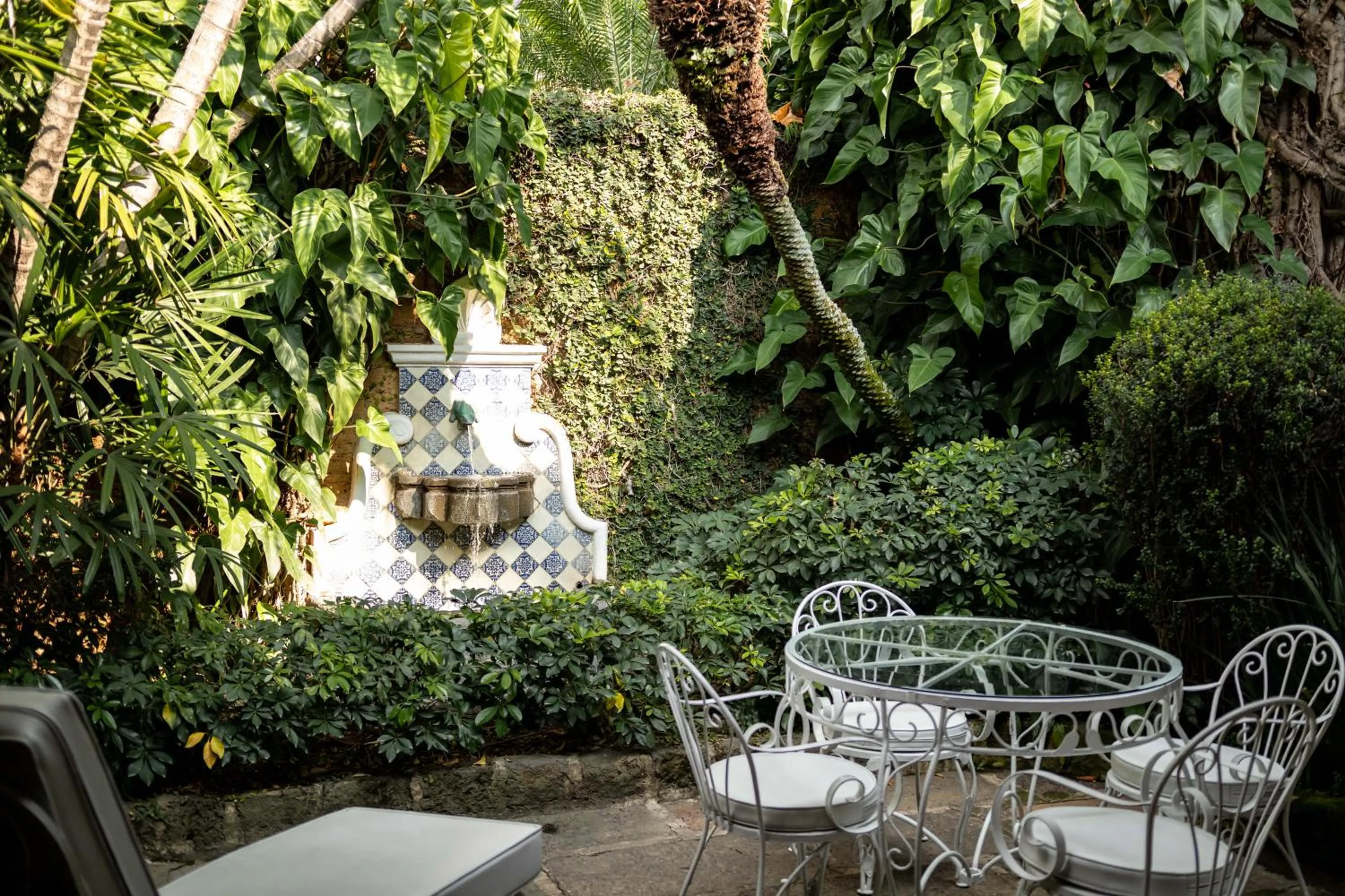 Patio in Las Mañanitas