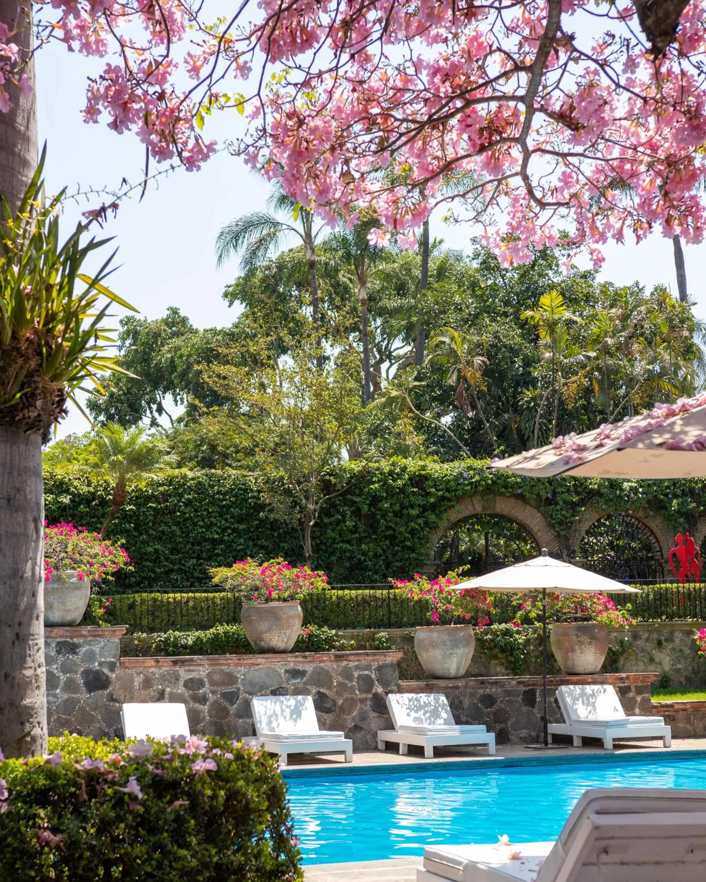 Garden in Las Mañanitas