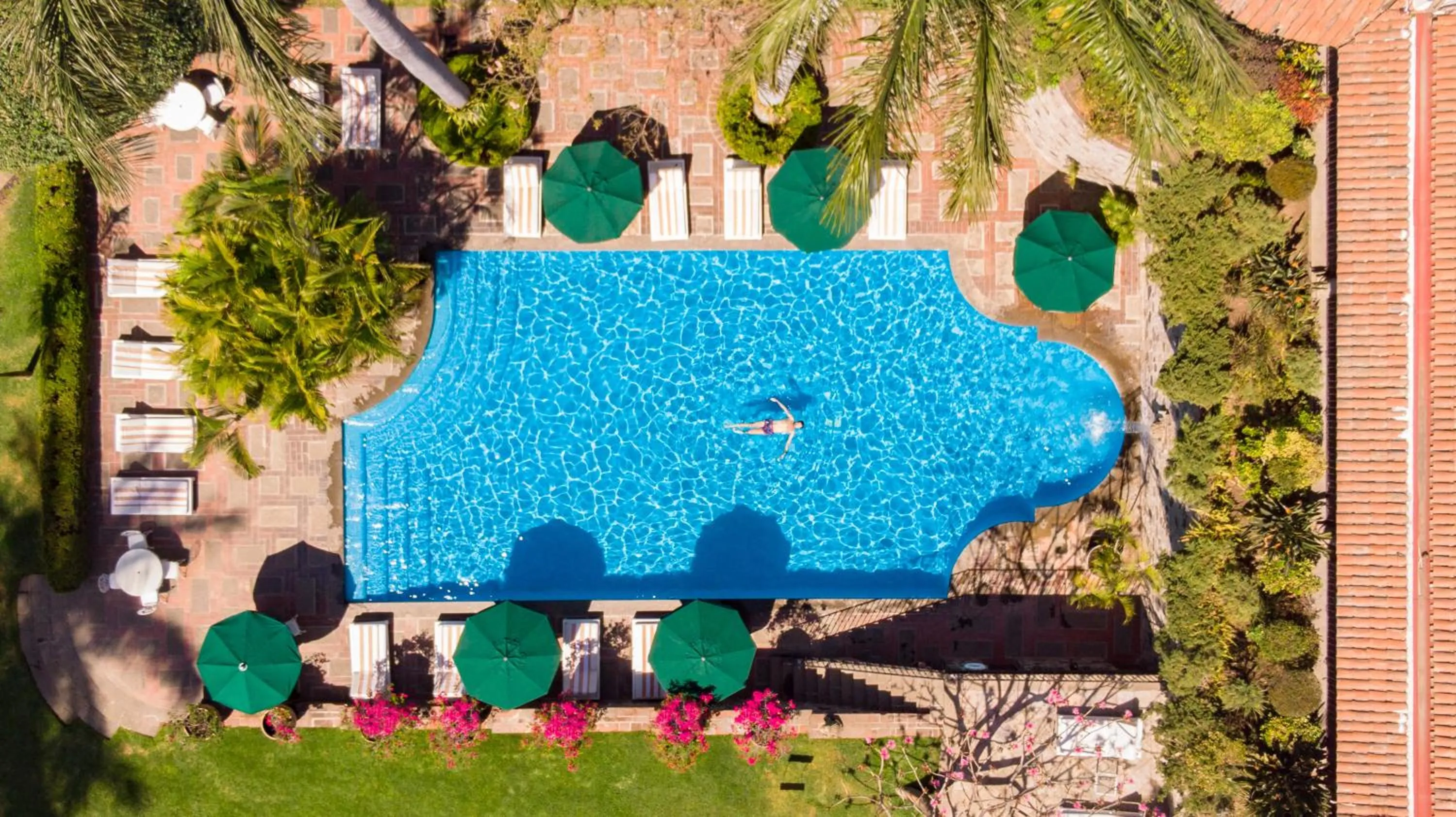 Swimming pool in Las Mañanitas