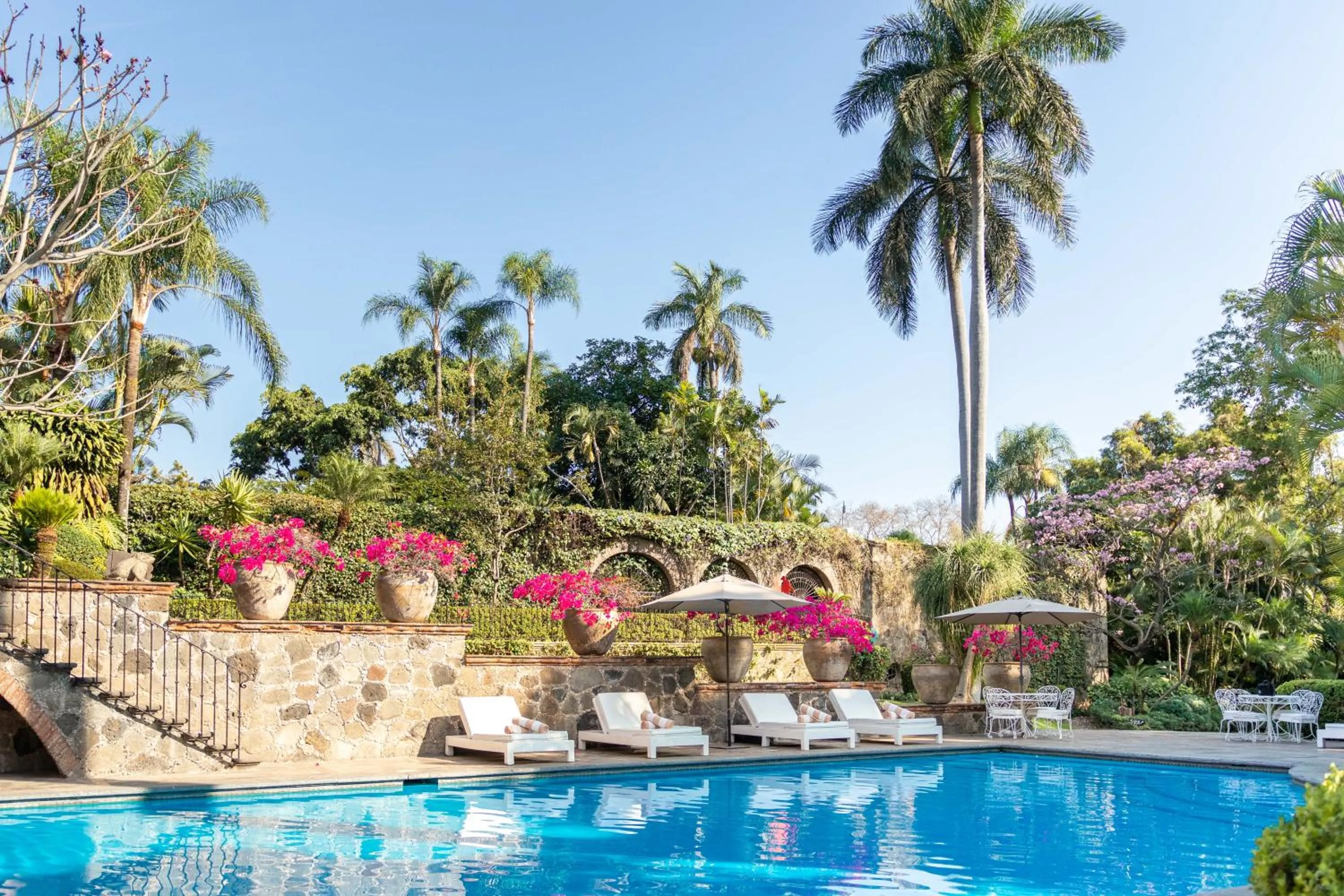 Garden in Las Mañanitas