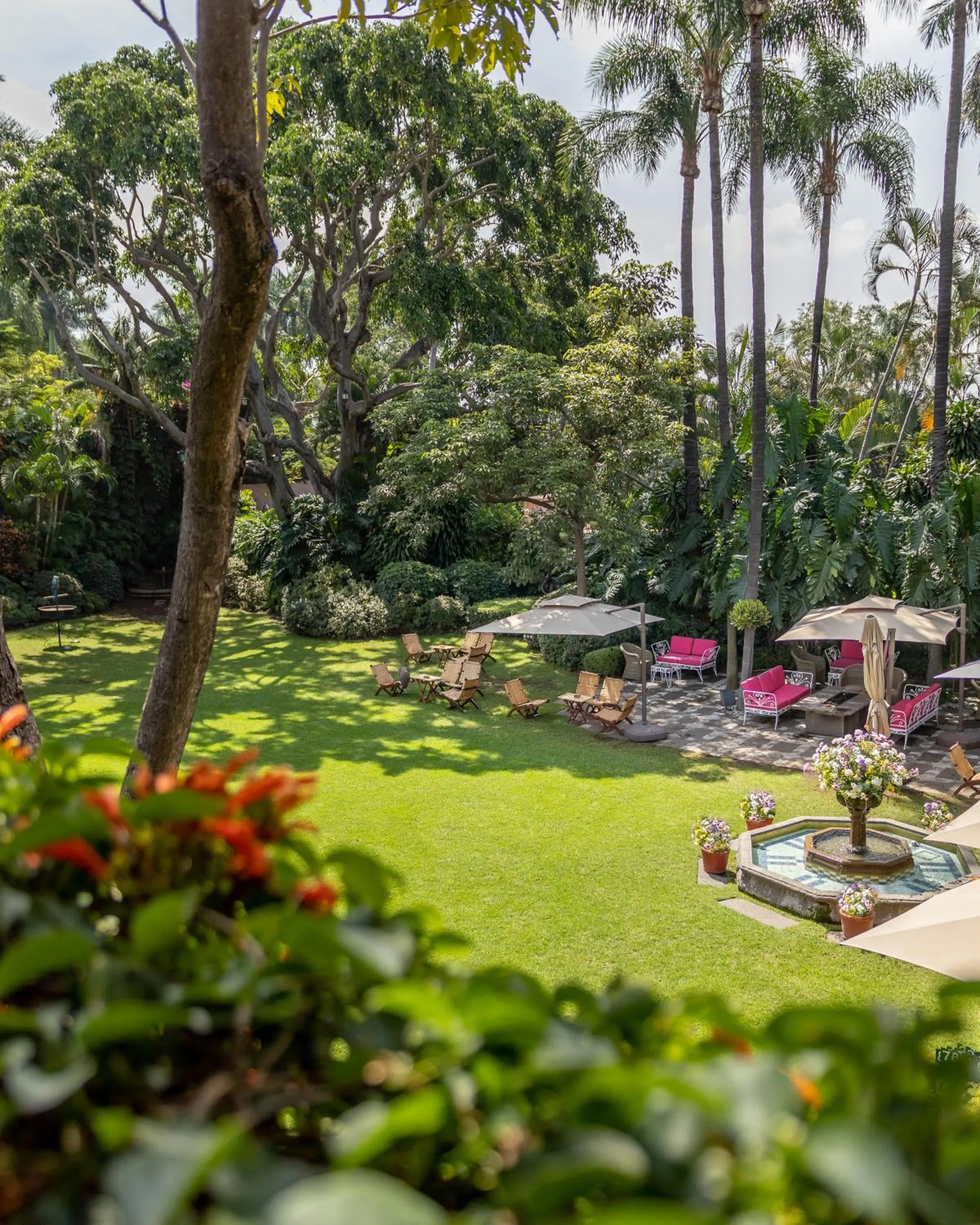 Garden in Las Mañanitas