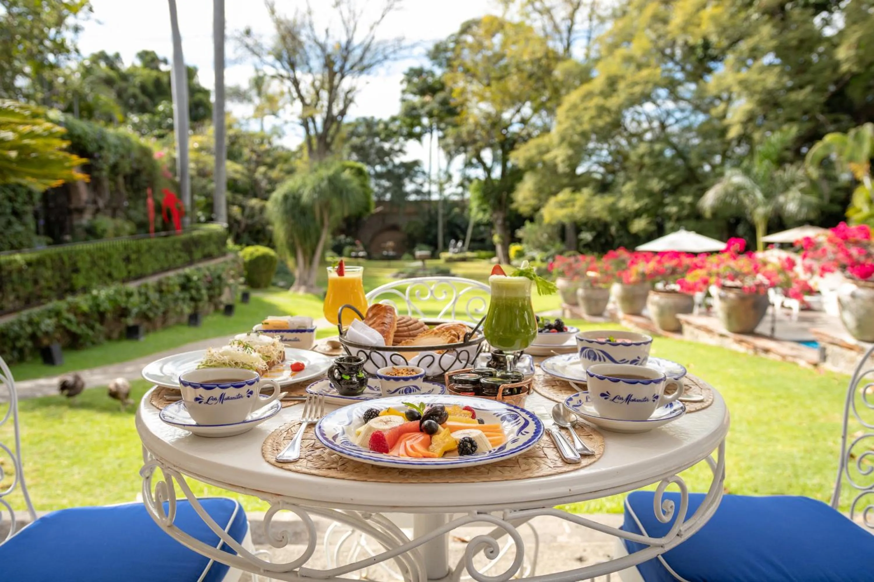 Garden view in Las Mañanitas