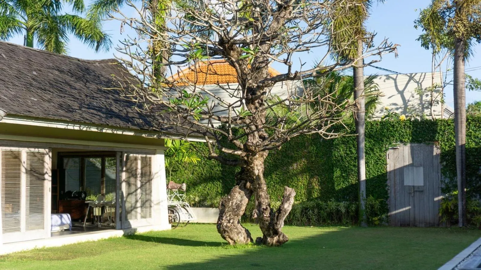 Garden view in Casa Mateo Villa