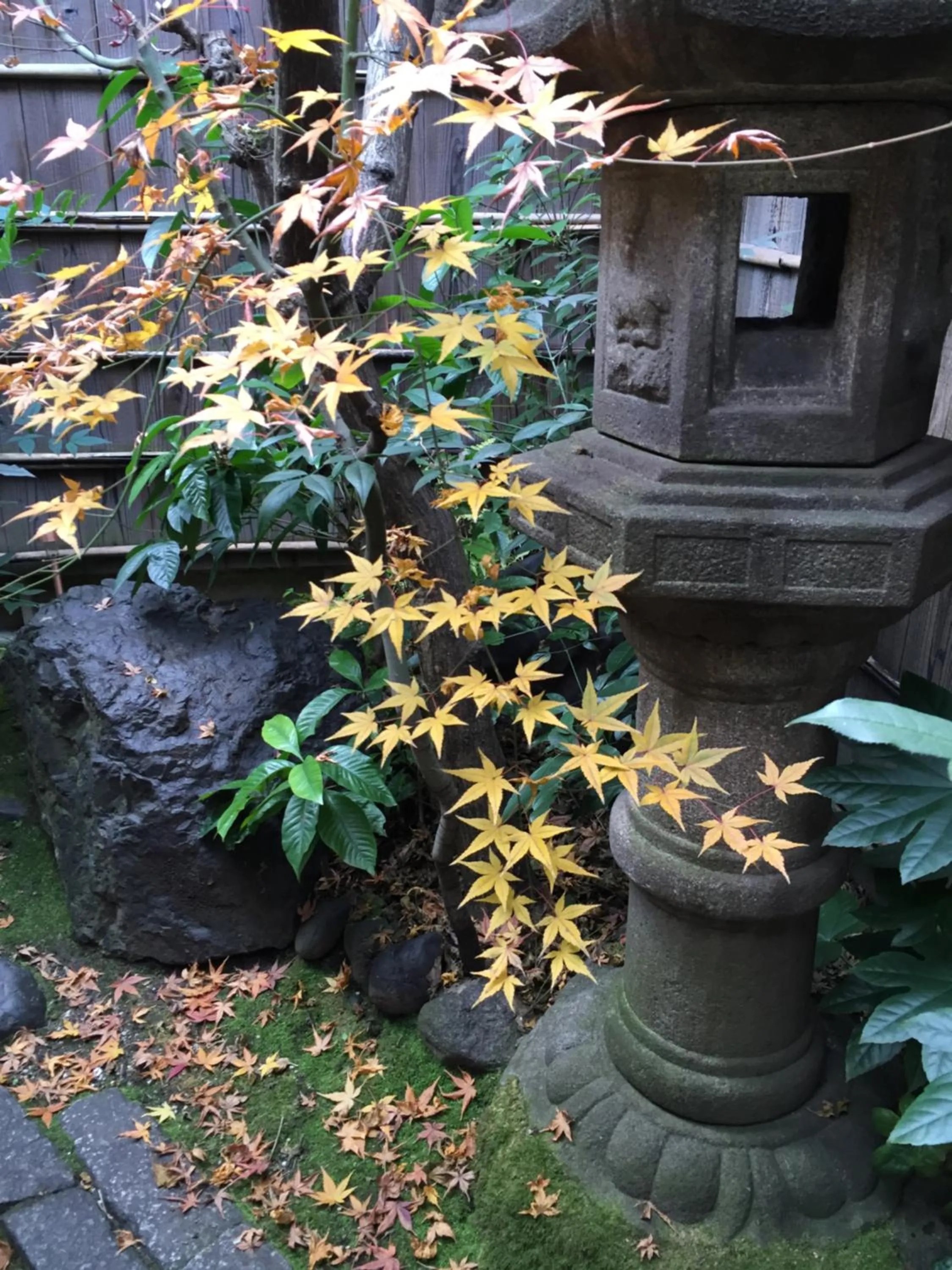 Garden in Guest House Hitsujian