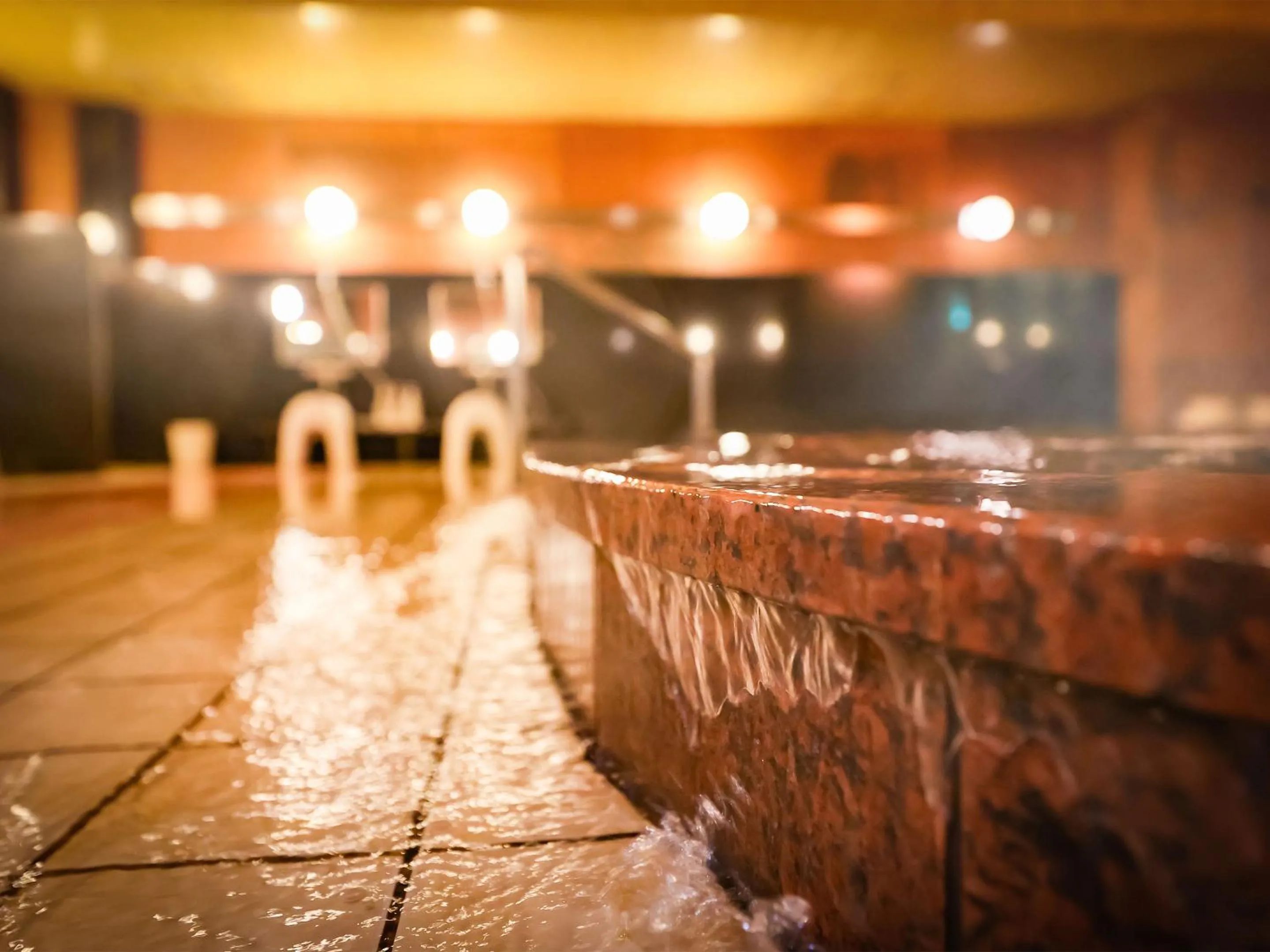 Hot Spring Bath in Fukui Hotel