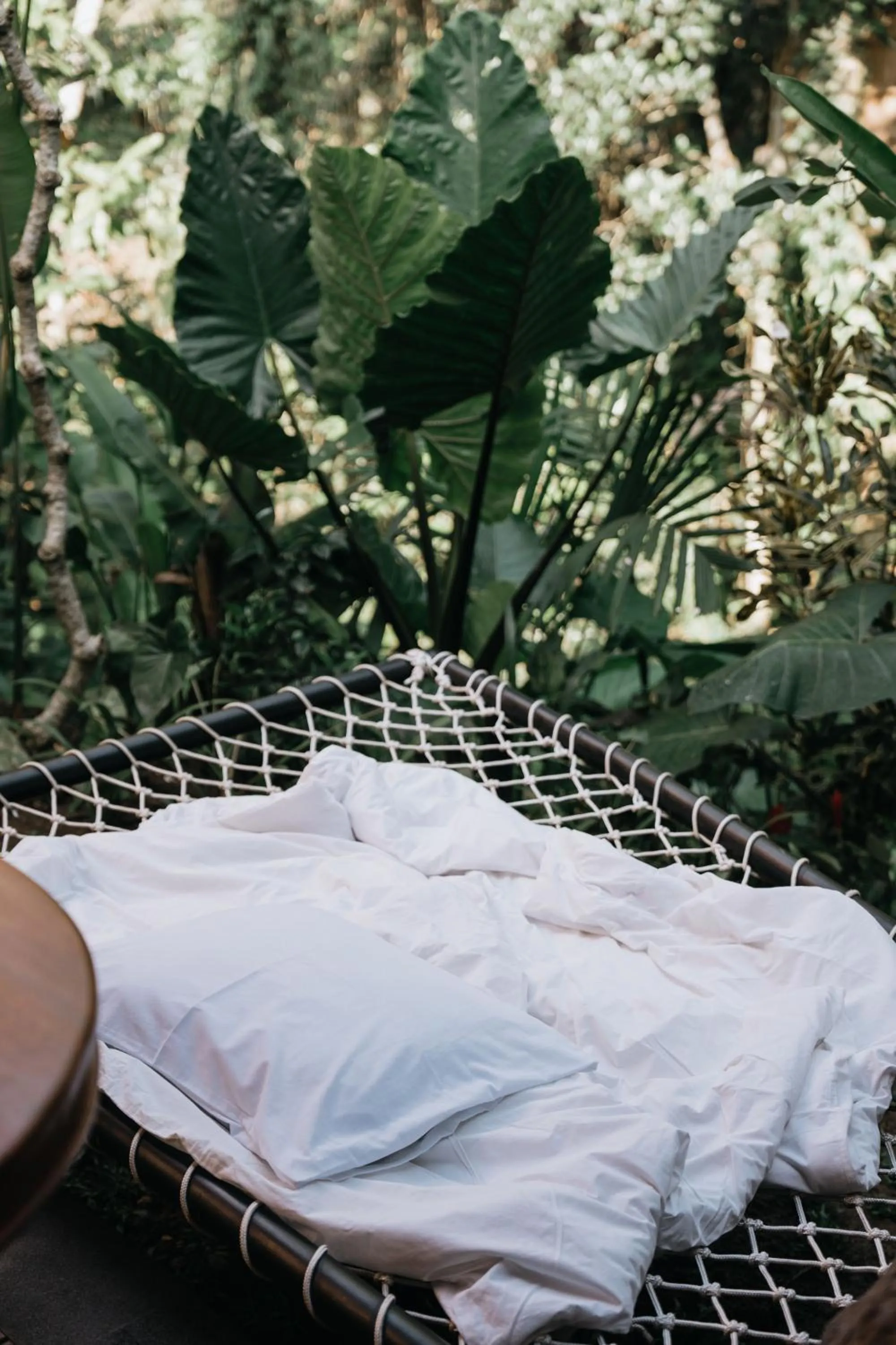 Balcony/Terrace in The Compass Rose Ubud