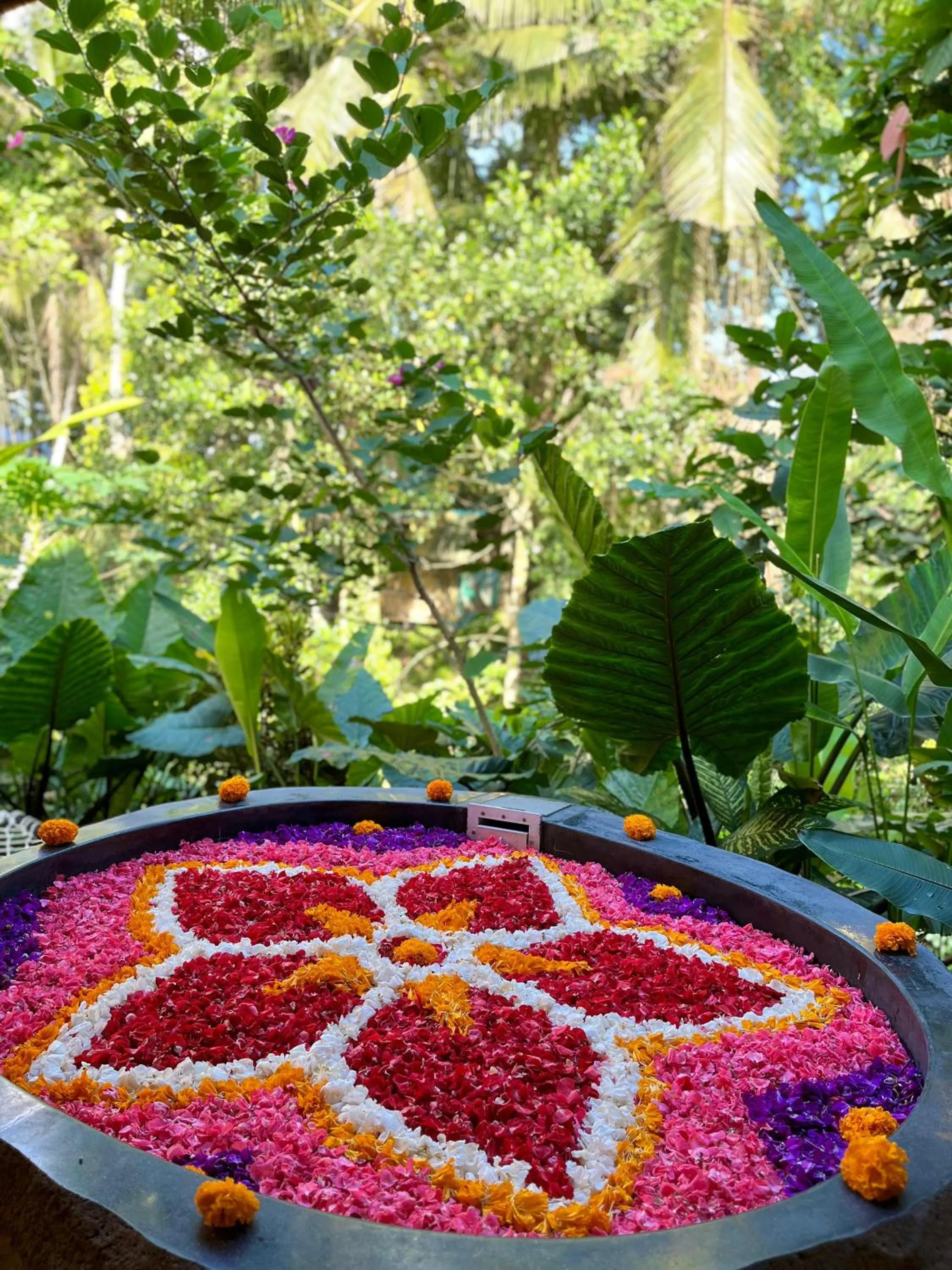 Hot Tub in The Compass Rose Ubud
