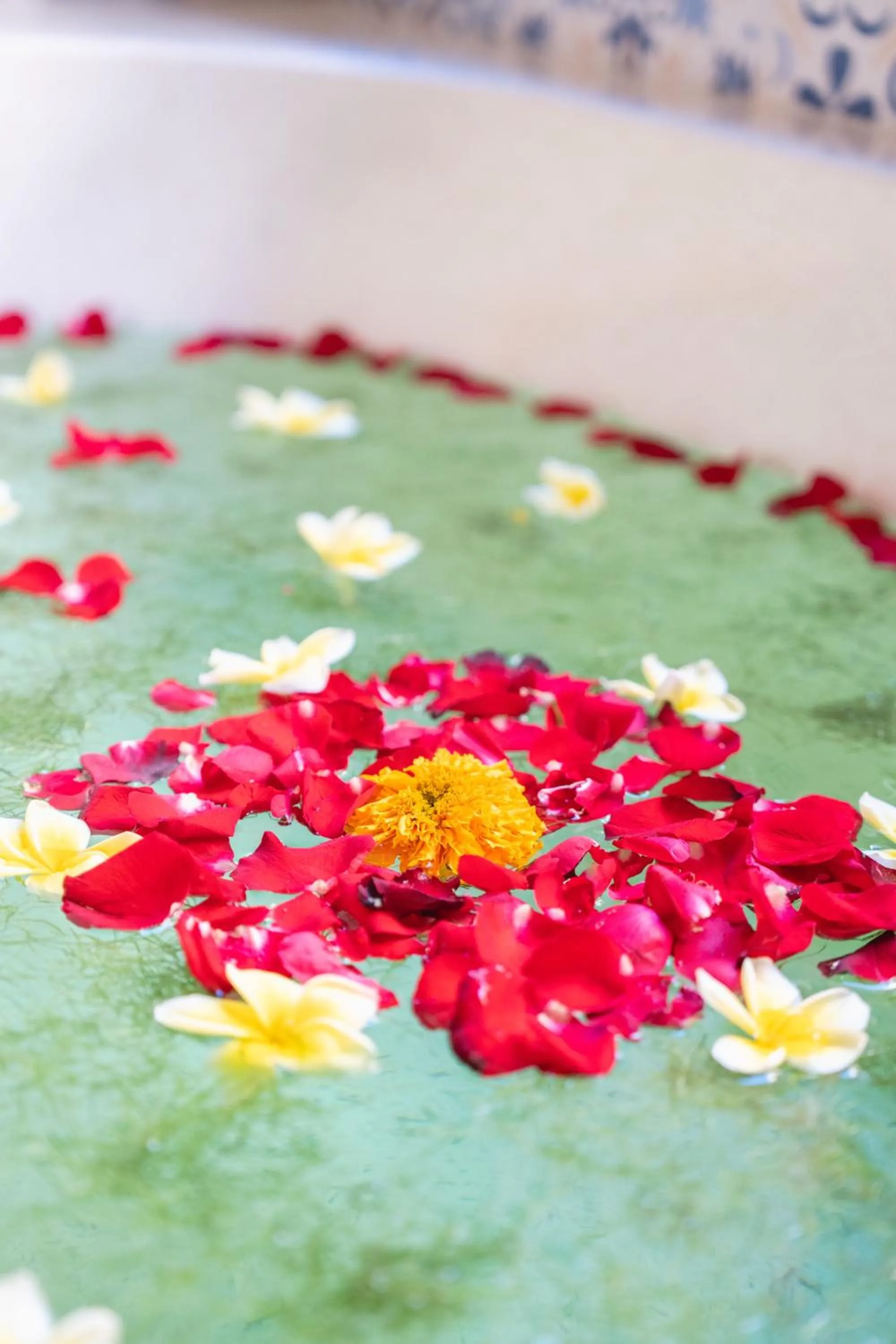 Bath in The Compass Rose Ubud