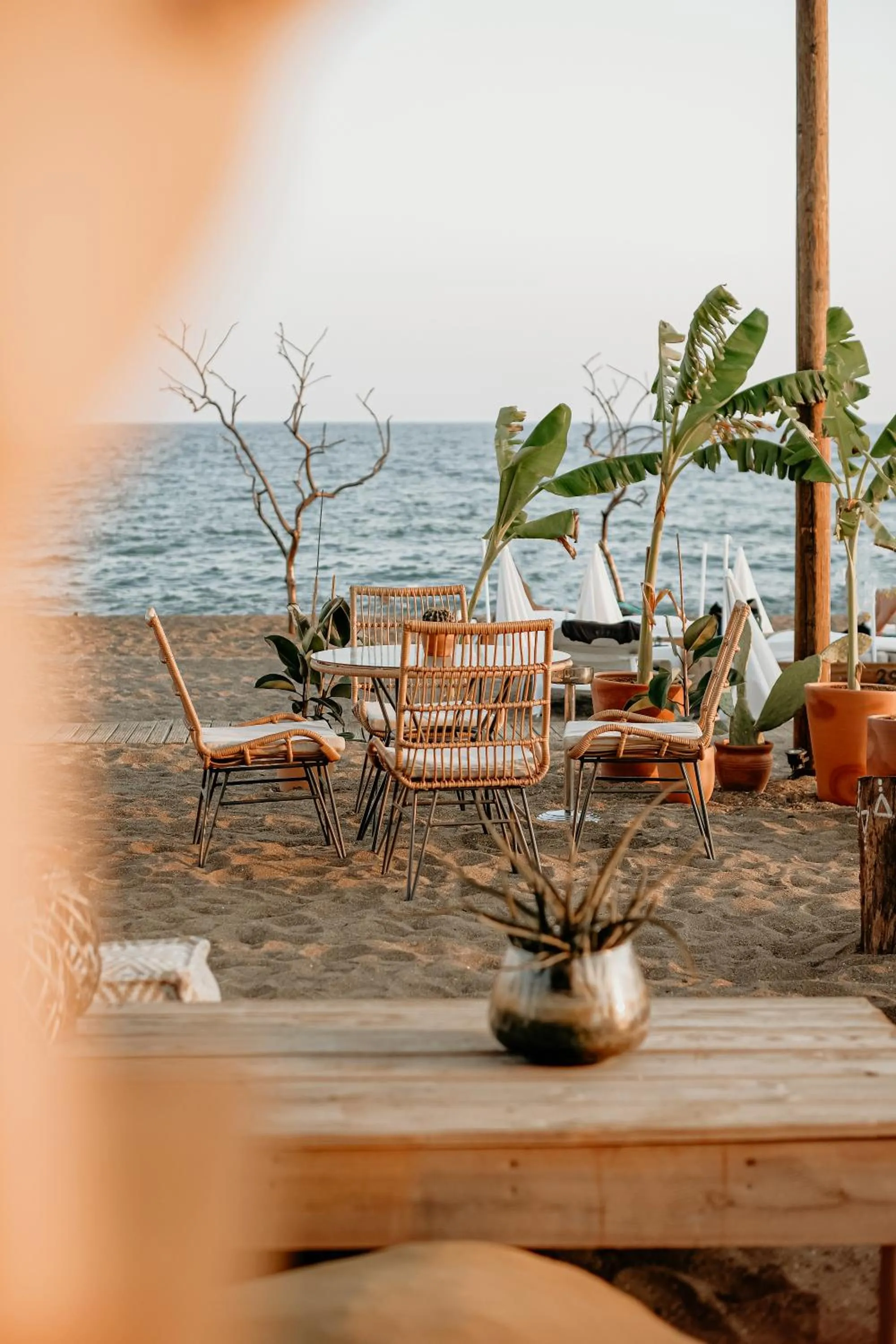 Natural landscape in RAW BEACH HOTEL