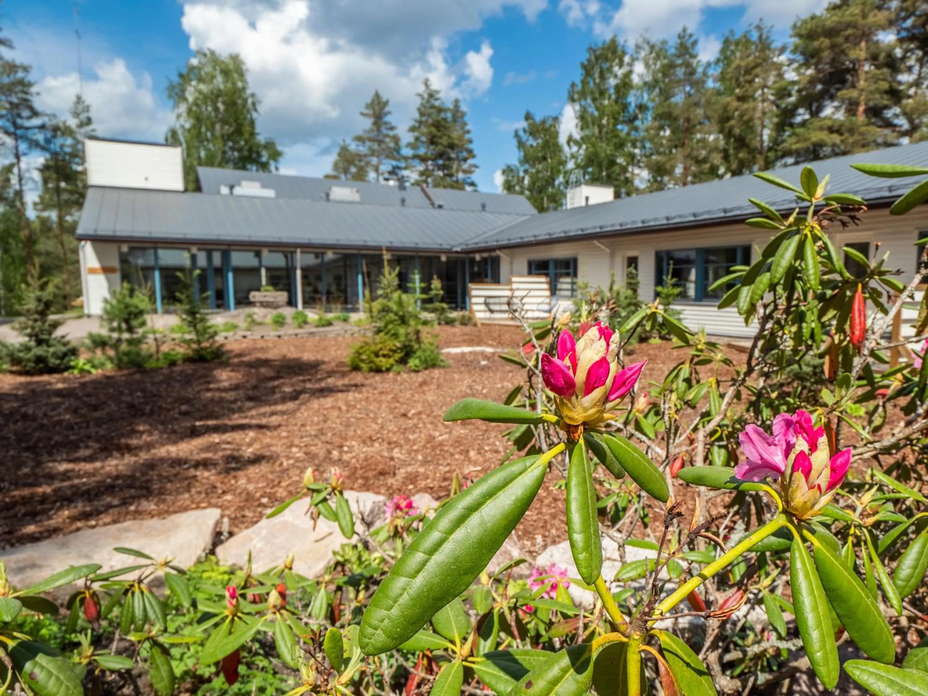Natural landscape in Polku Hotelli
