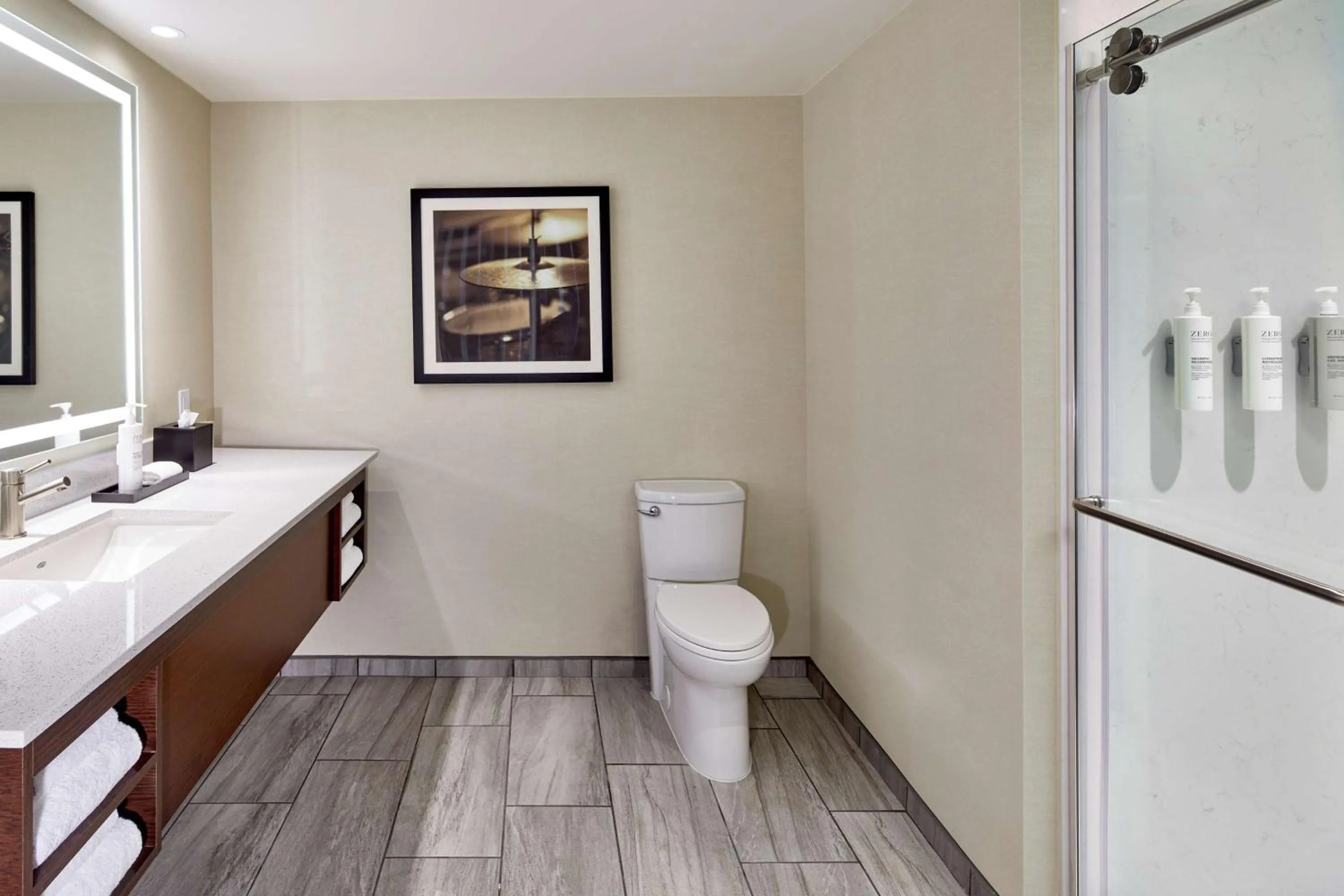 Bathroom in Embassy Suites by Hilton Nashville Downtown