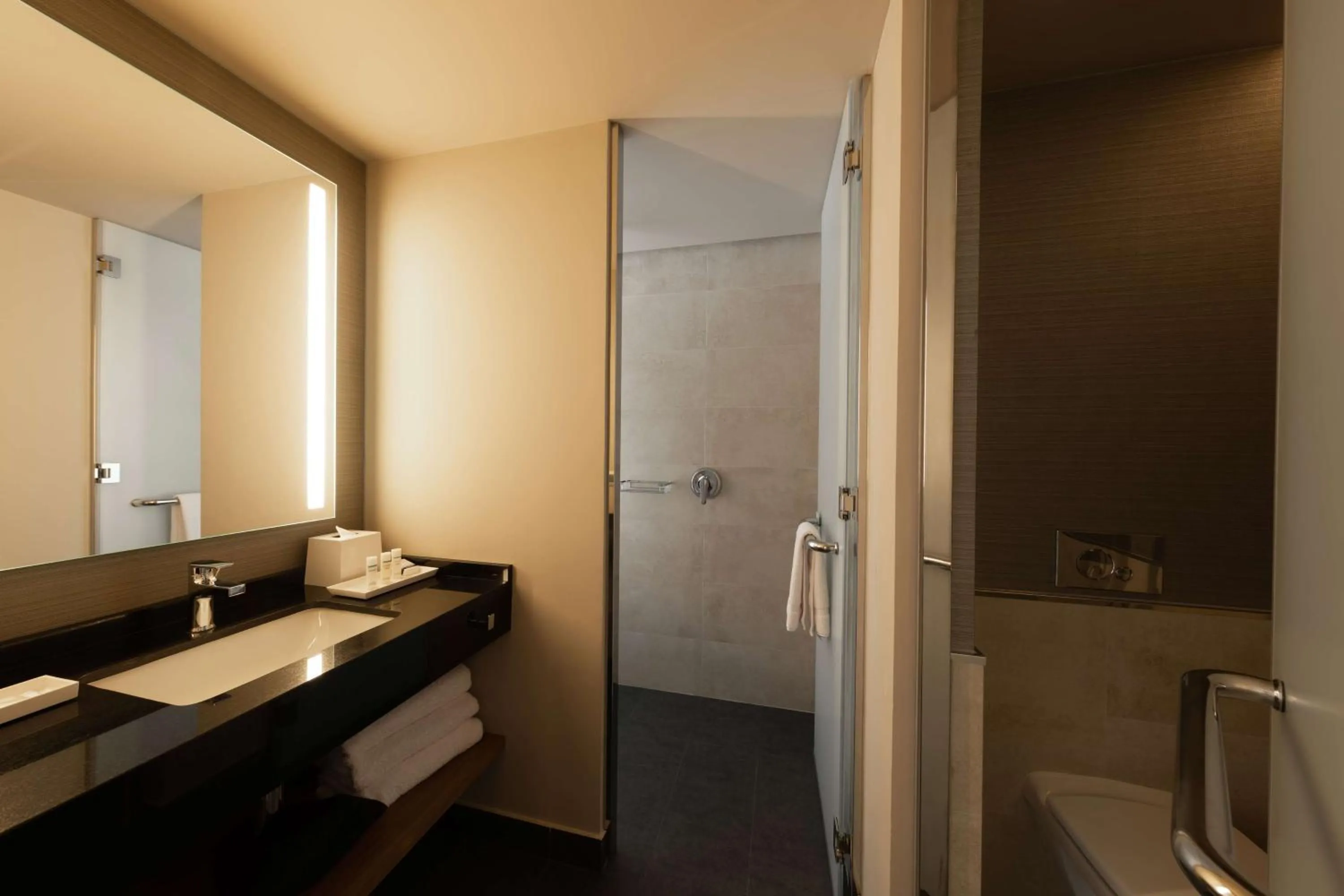 Bathroom in Hilton Garden Inn Lima Miraflores