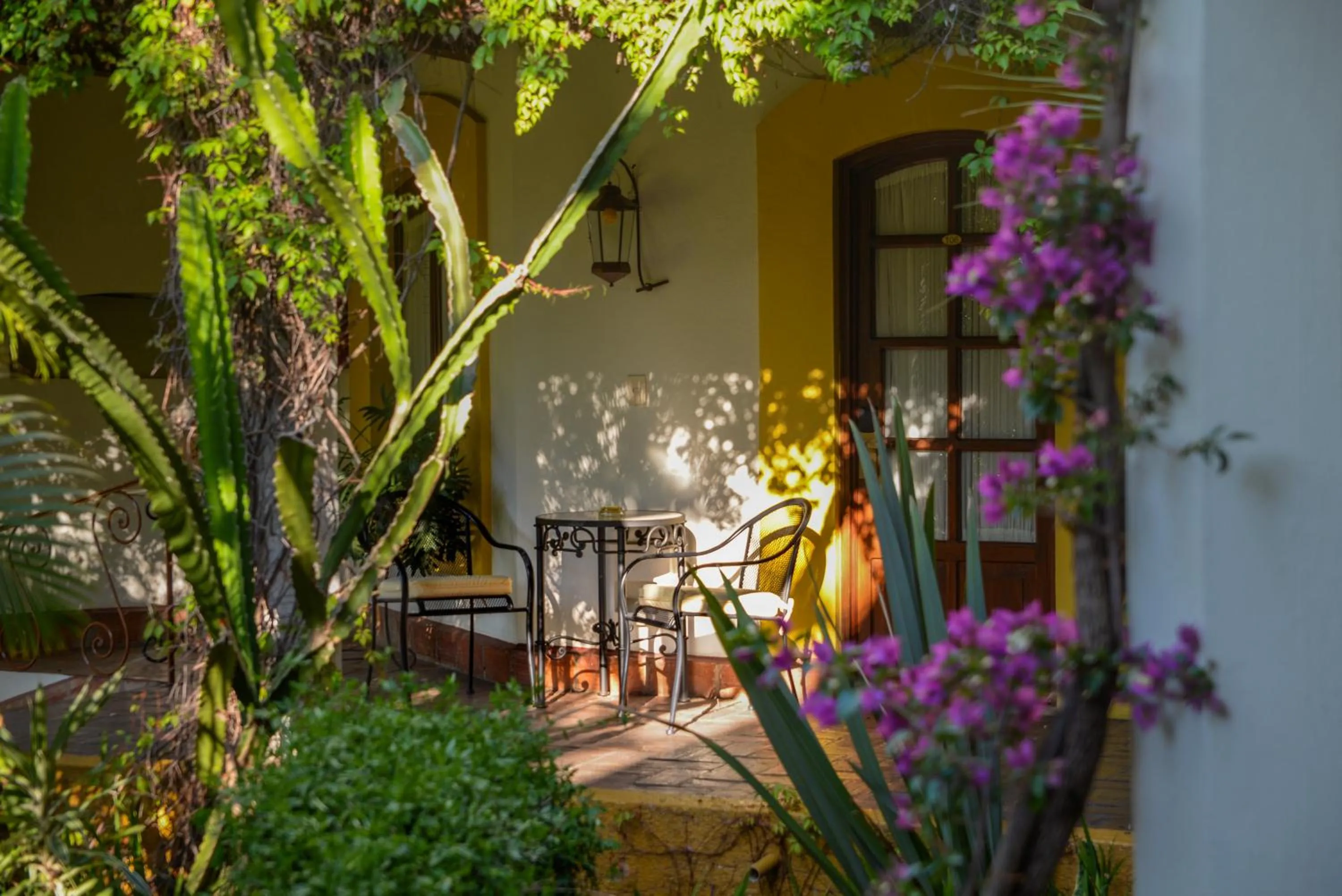 Garden view in Hotel Hacienda Los Laureles