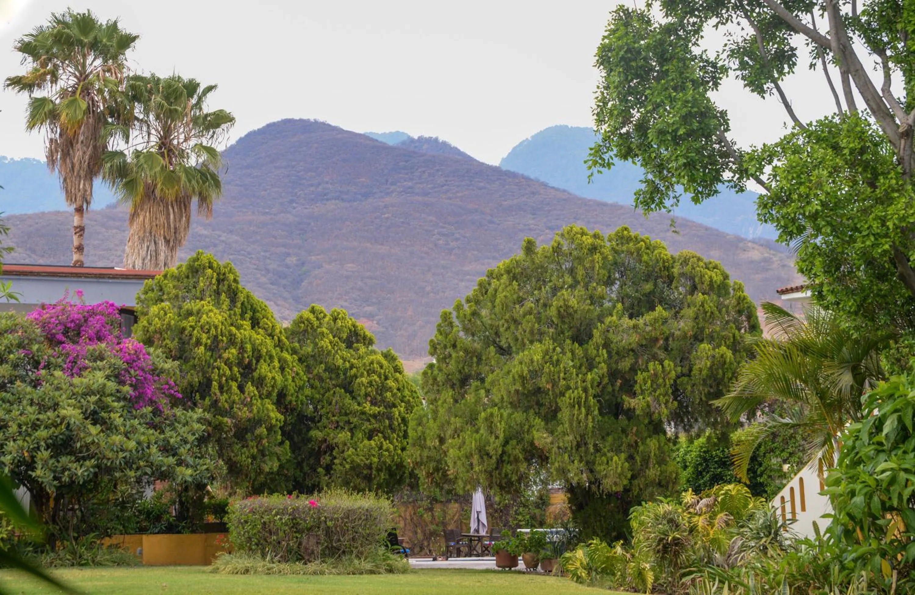 Garden in Hotel Hacienda Los Laureles