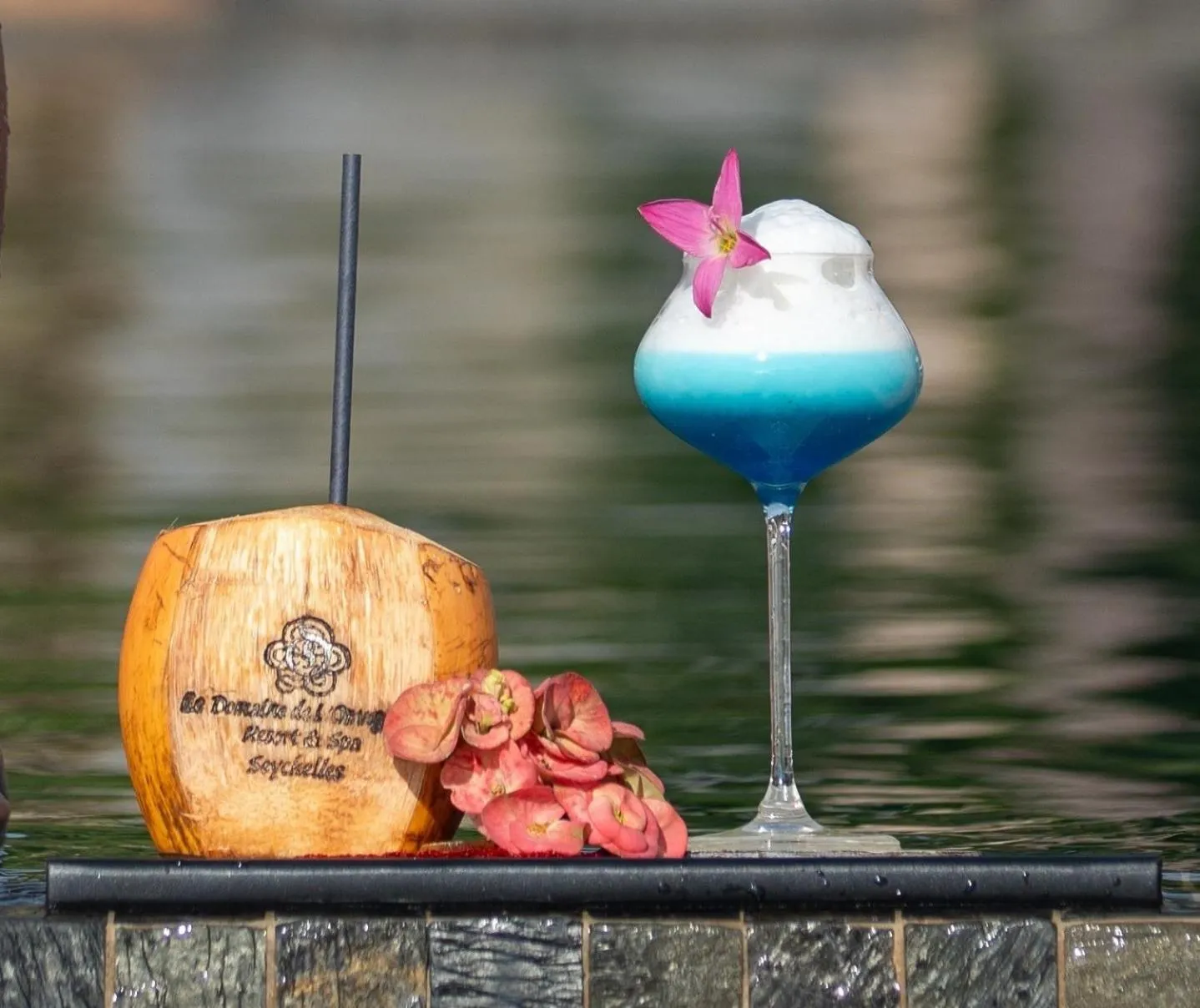 Lounge or bar in Le Domaine de L'Orangeraie Resort and Spa