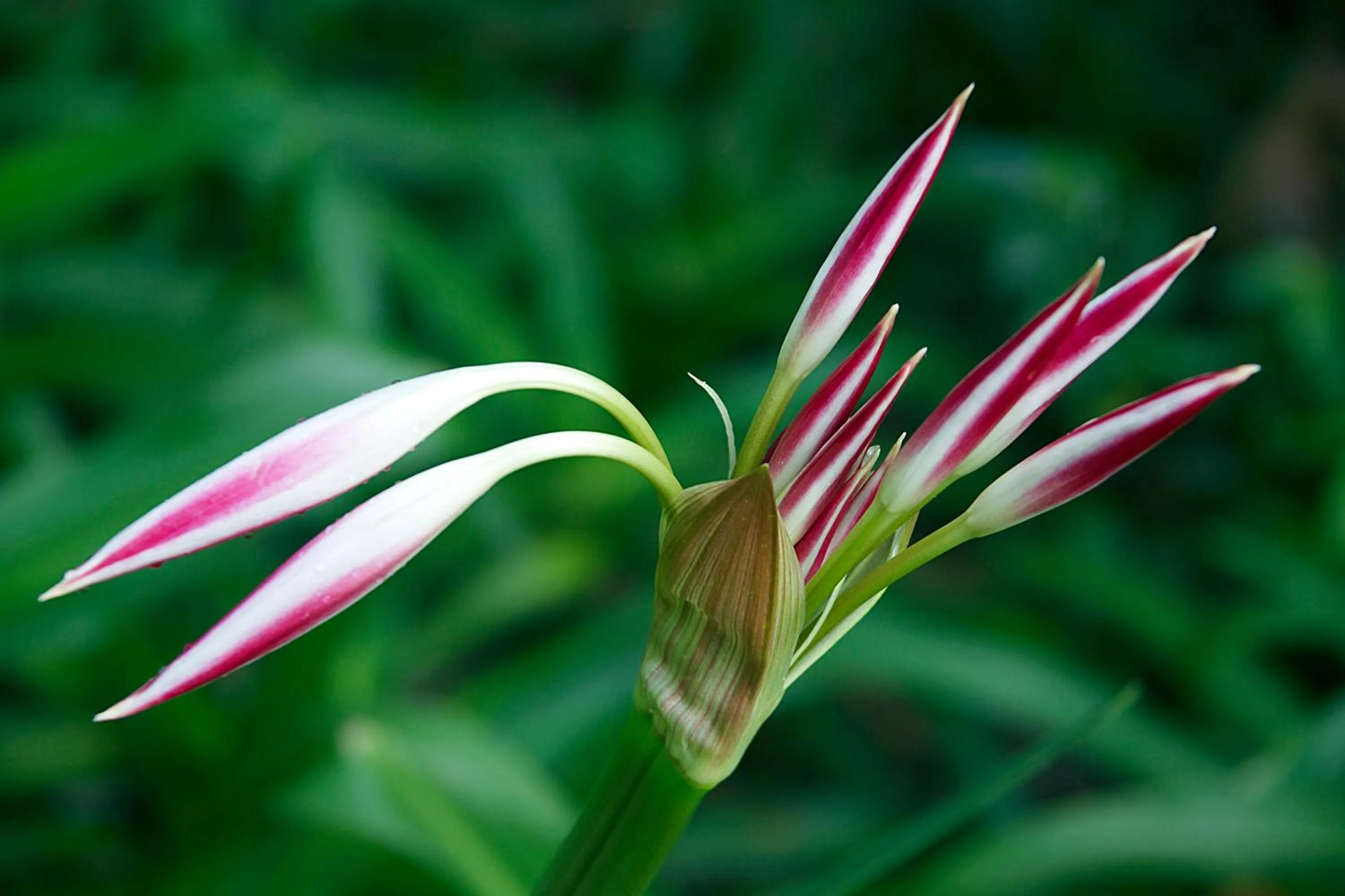 Natural landscape in Le Domaine de L'Orangeraie Resort and Spa