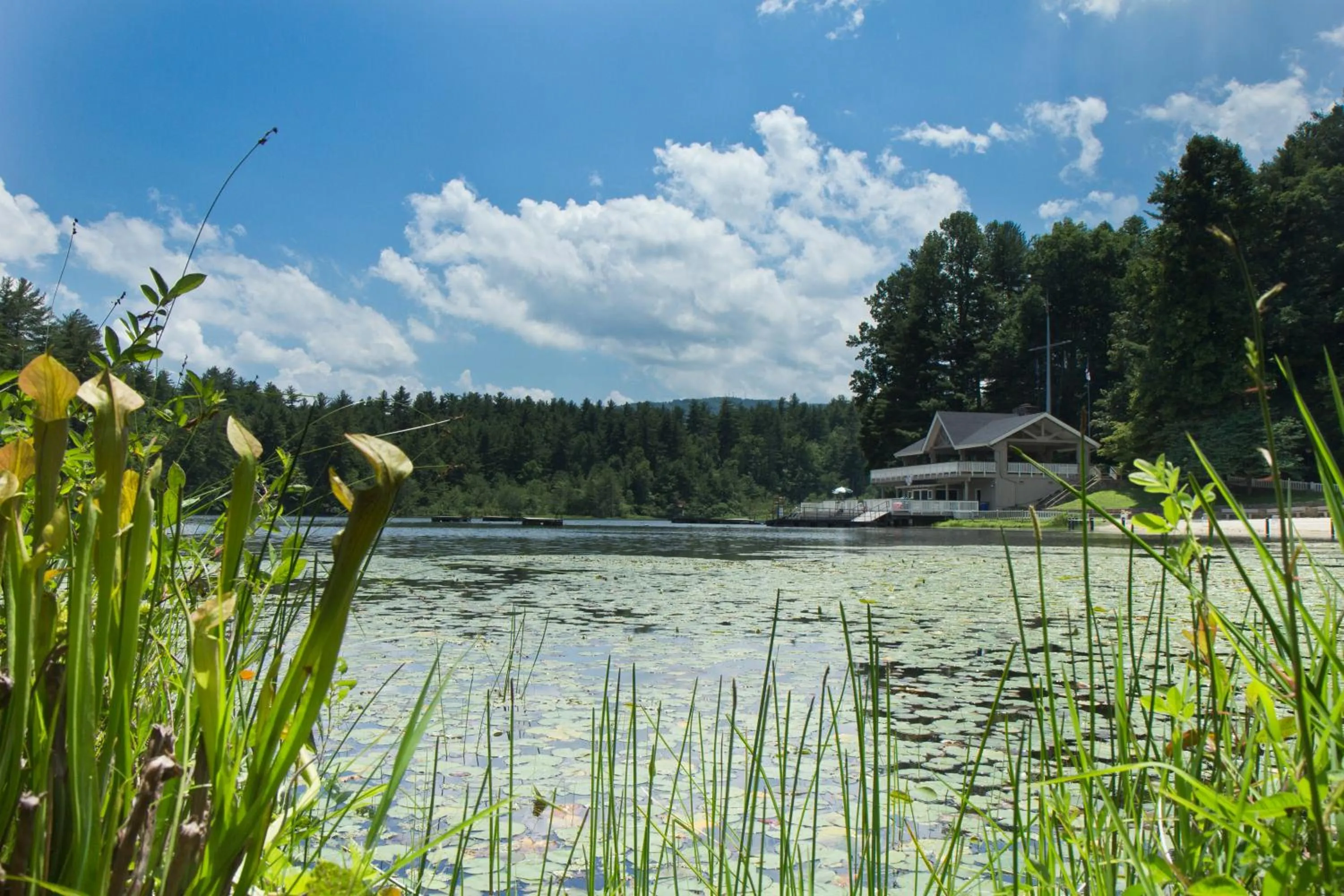 Natural landscape in Kanuga Inn & Lodging