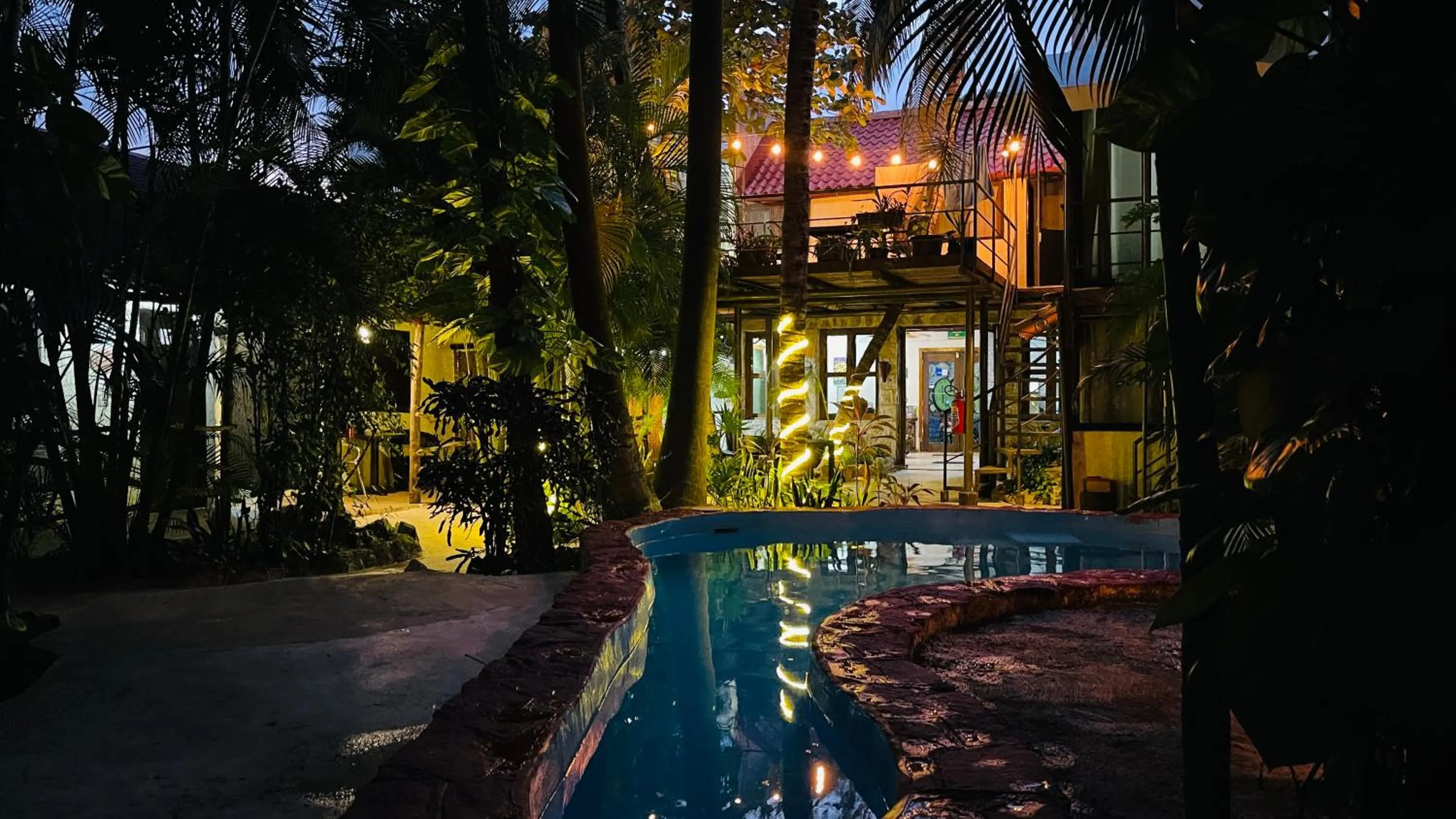 Night in Hotel B&B - 5th Avenue