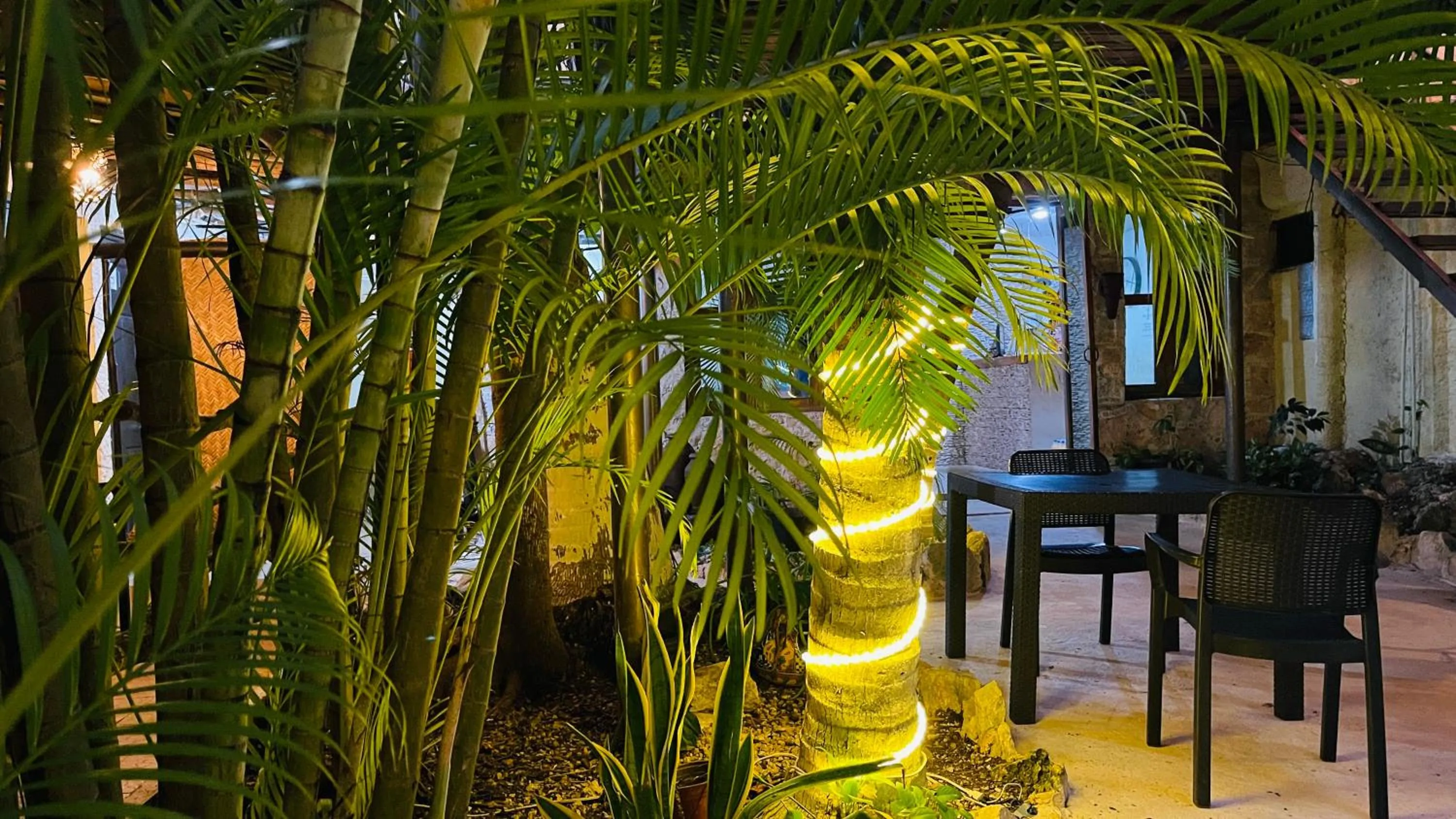 Garden view in Hotel B&B - 5th Avenue