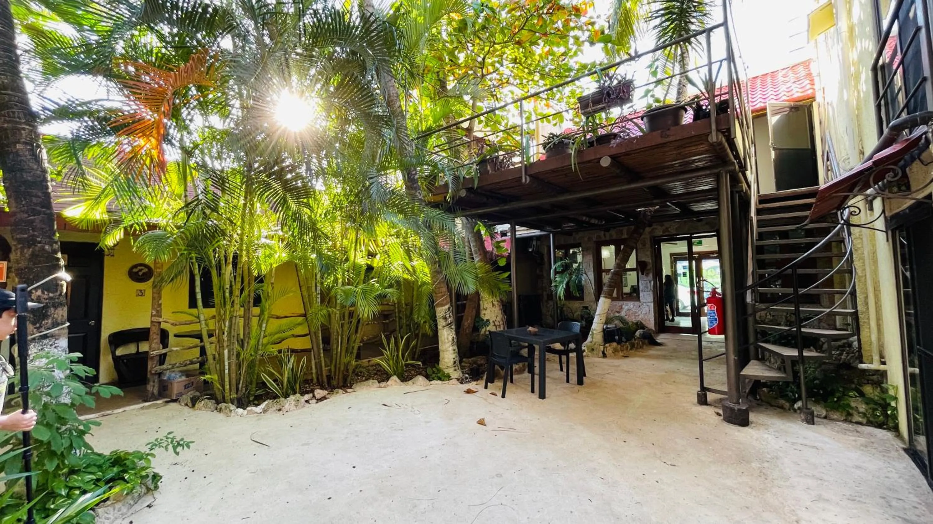 Garden in Hotel B&B - 5th Avenue